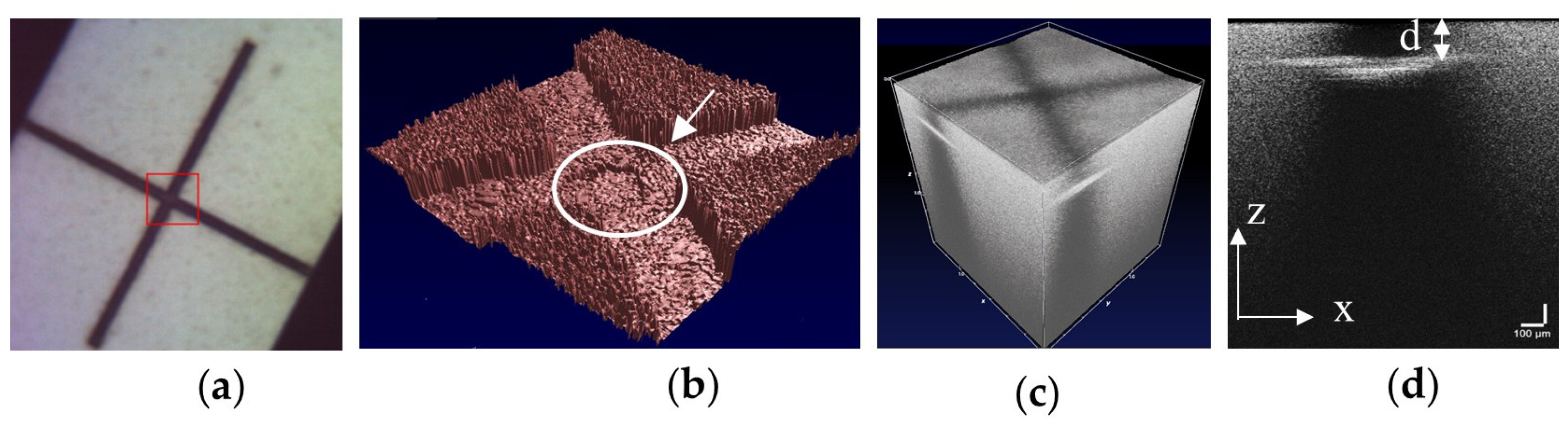 Coatings 14 00380 g013