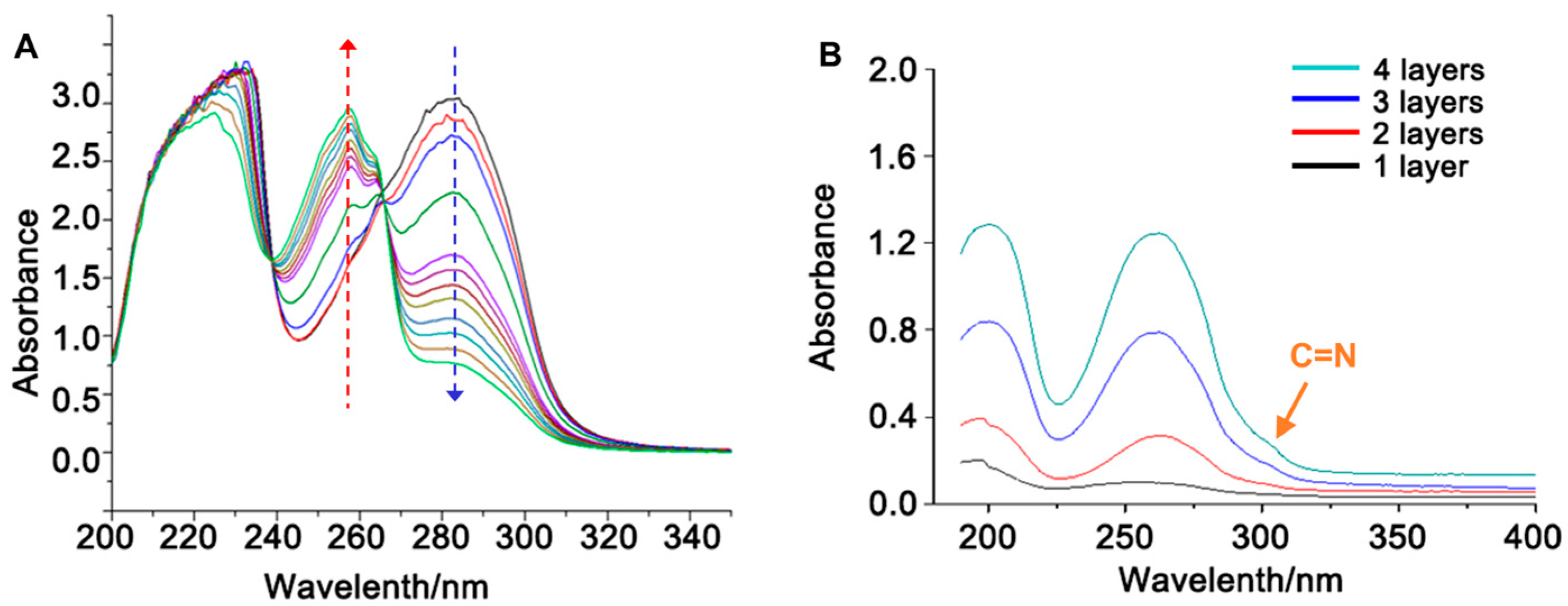 Coatings 14 00381 g001