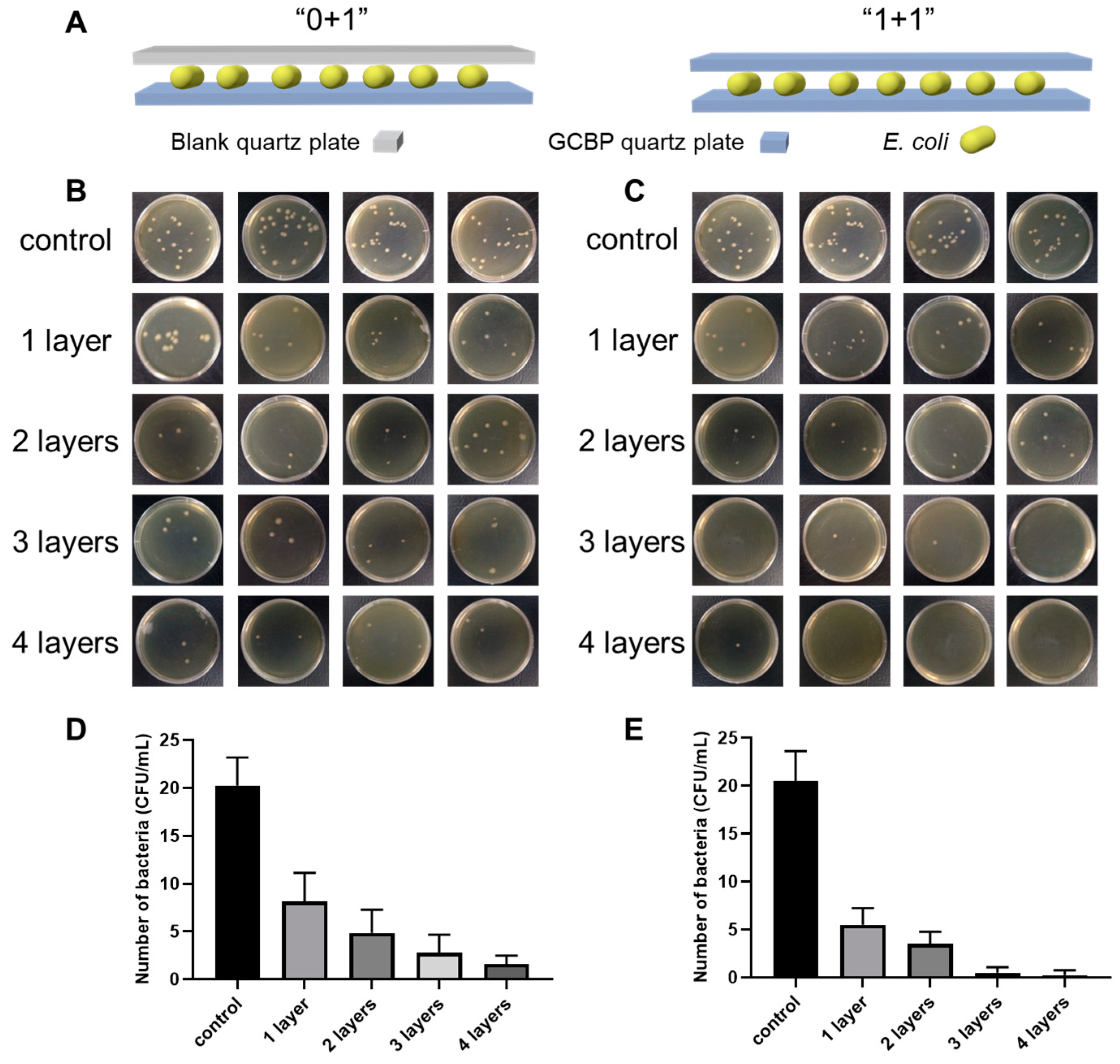 Coatings 14 00381 g003