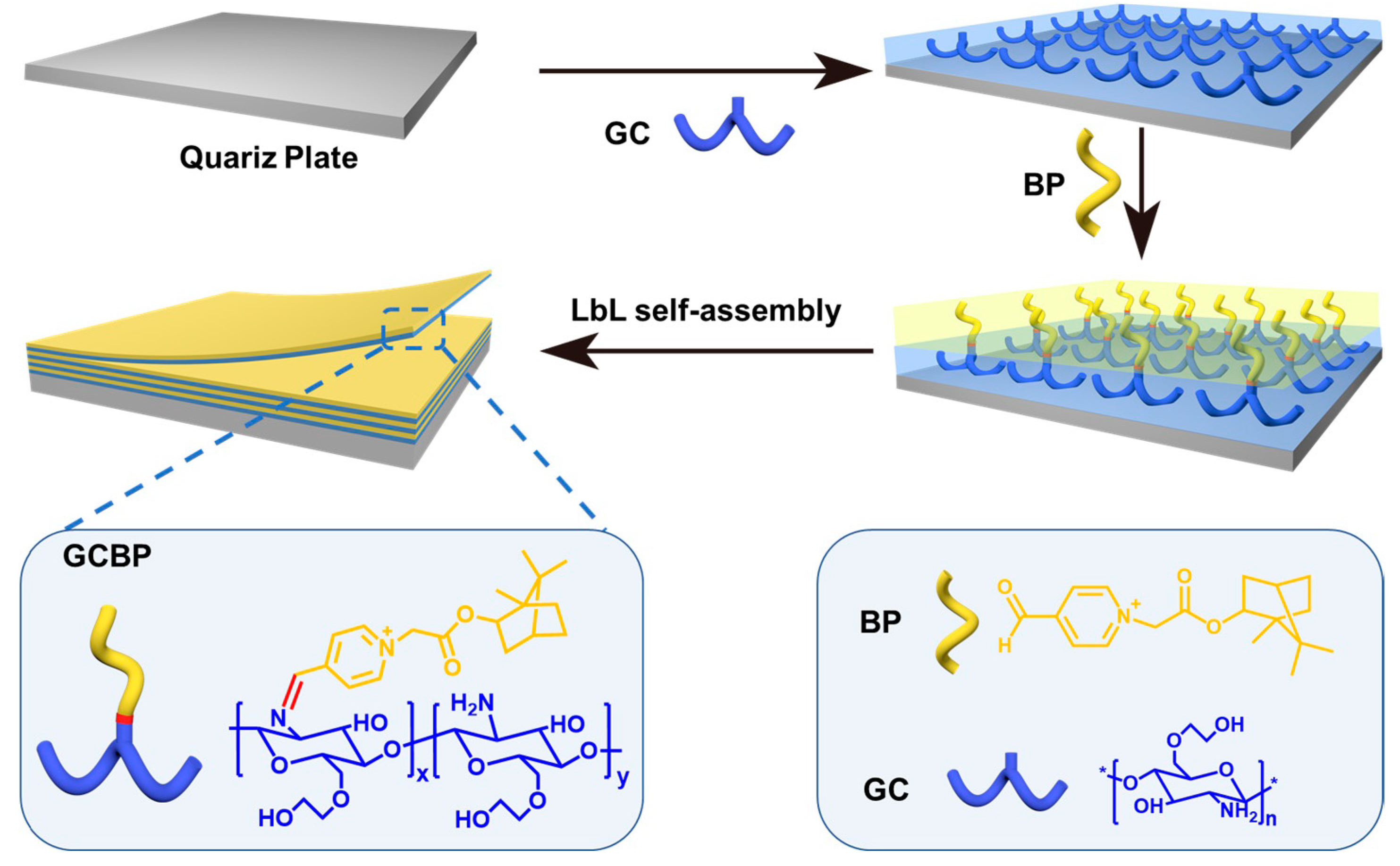 Coatings 14 00381 sch001