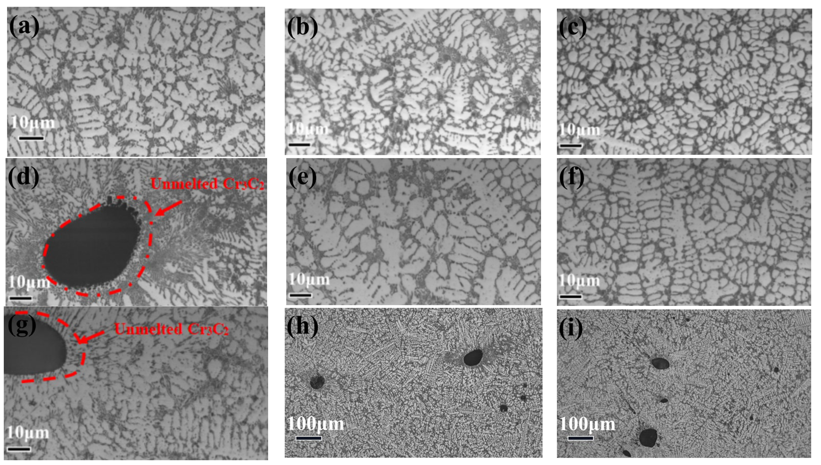 Coatings 14 00384 g003