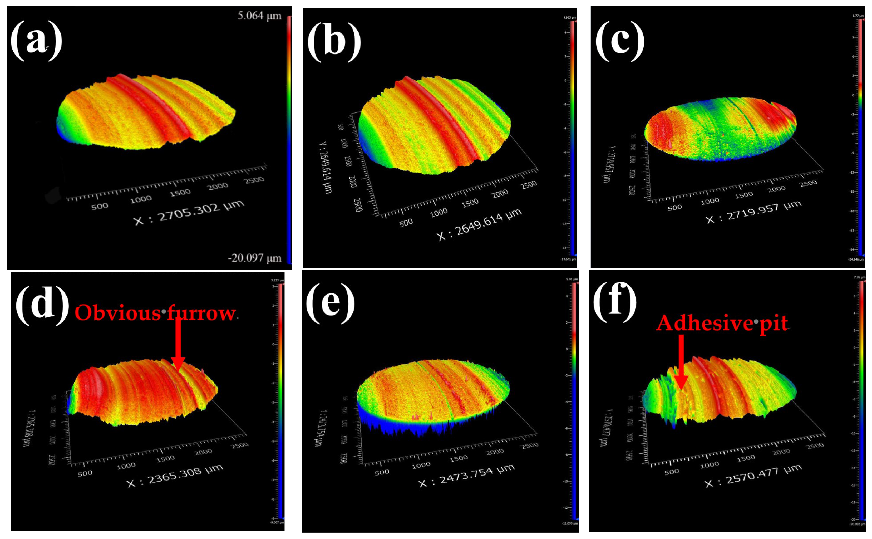 Coatings 14 00384 g005a