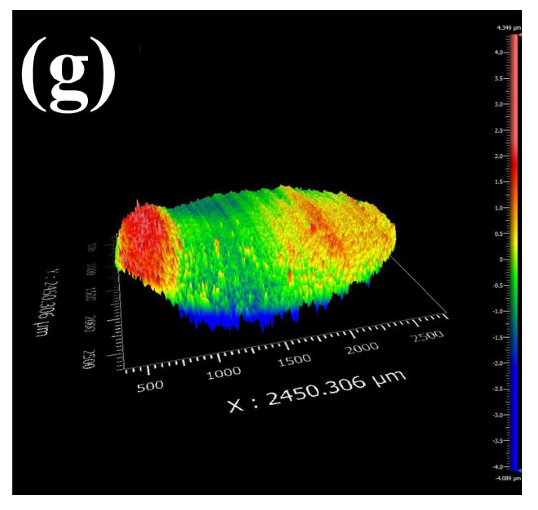 Coatings 14 00384 g005b
