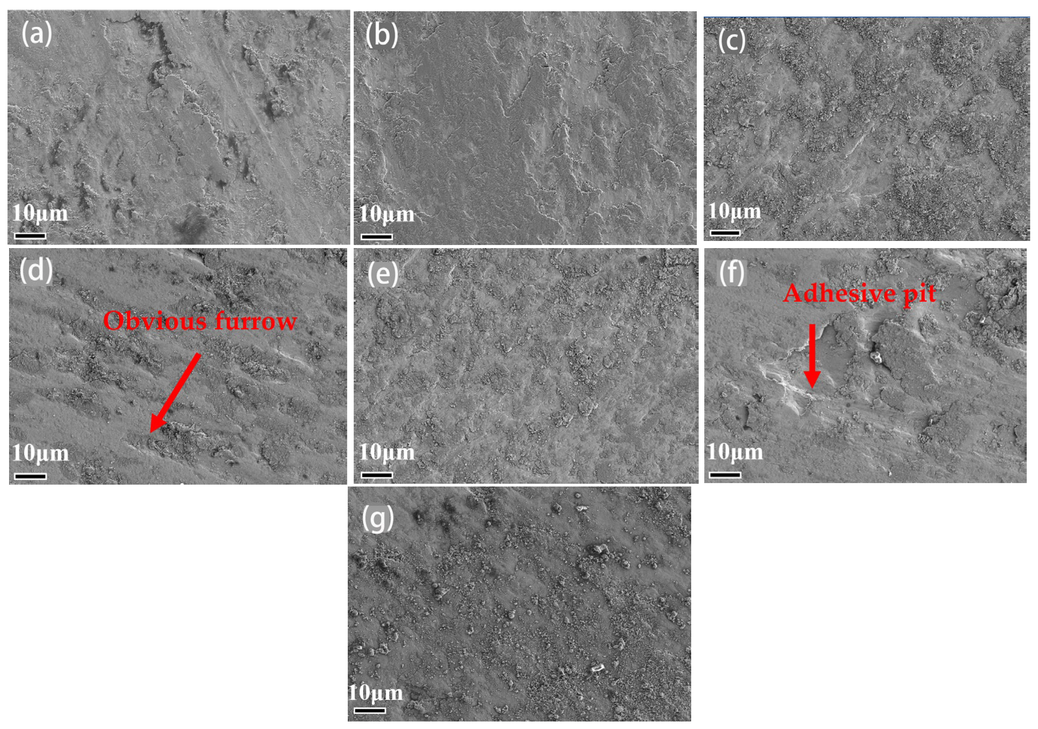 Coatings 14 00384 g006