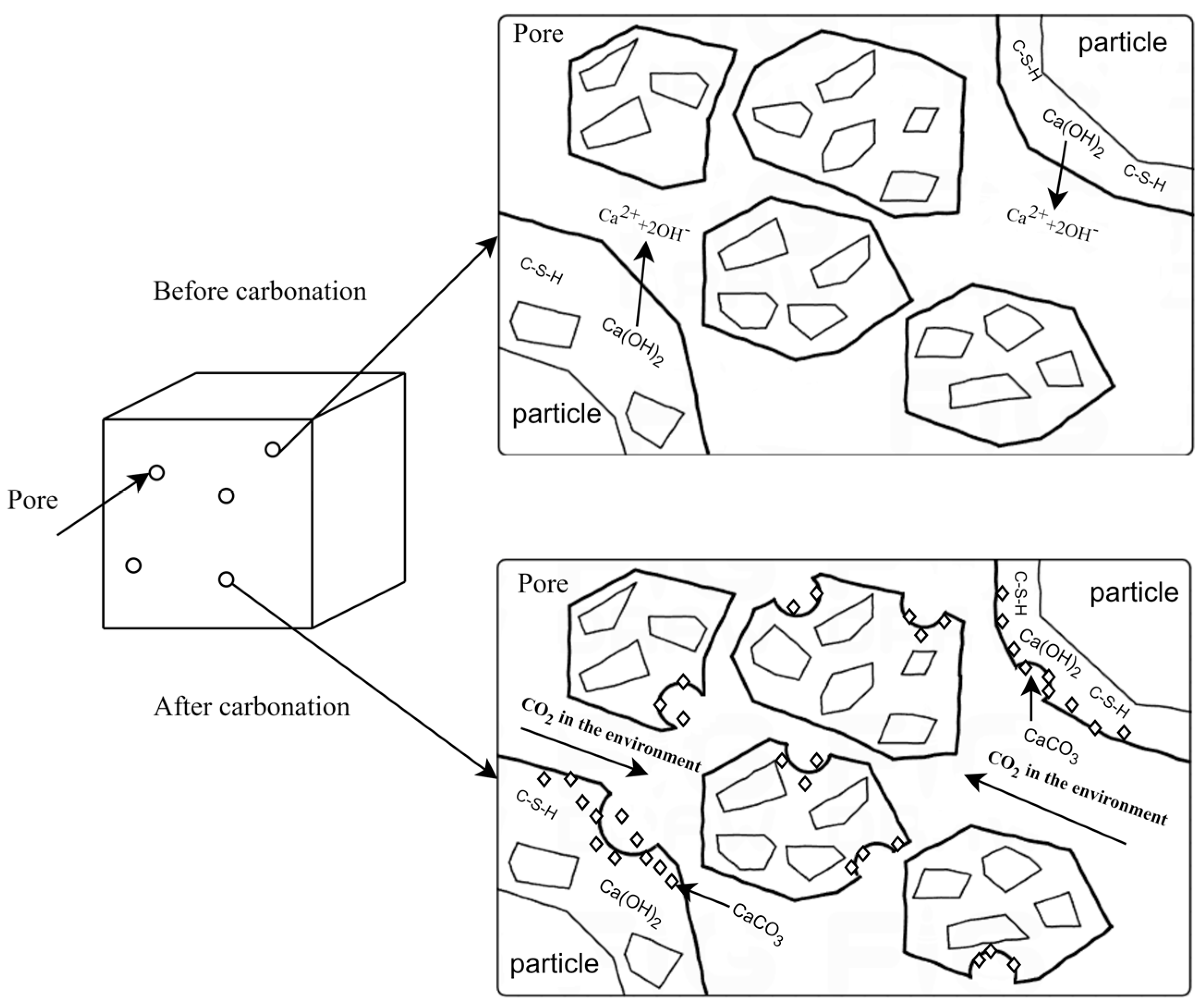 Coatings 14 00386 g001