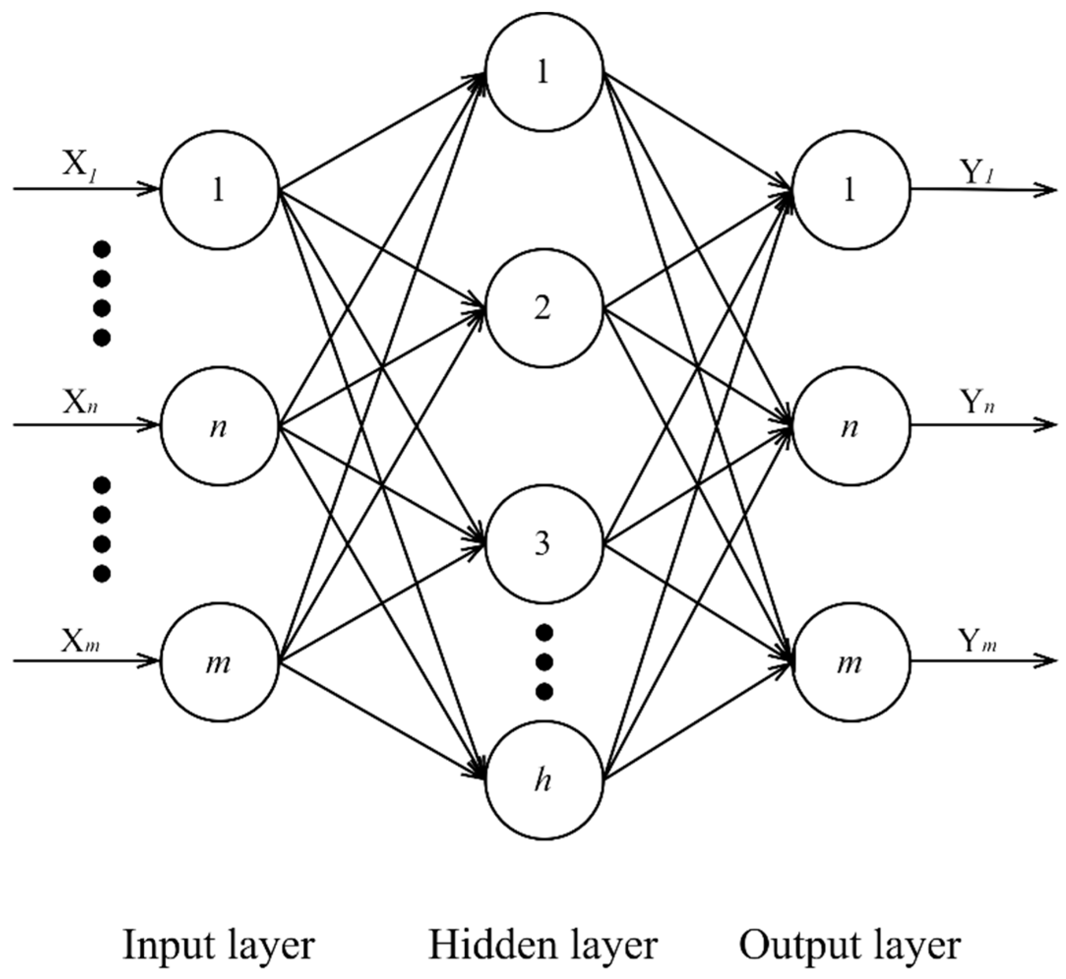 Coatings 14 00386 g003