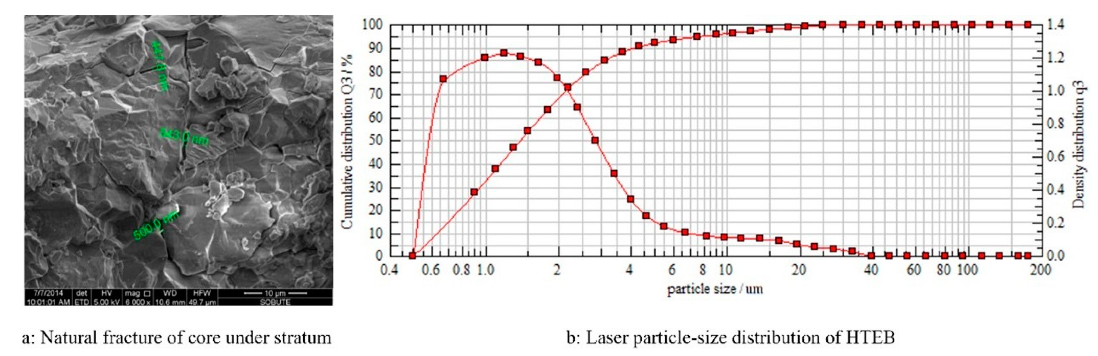 Coatings 14 00387 g002