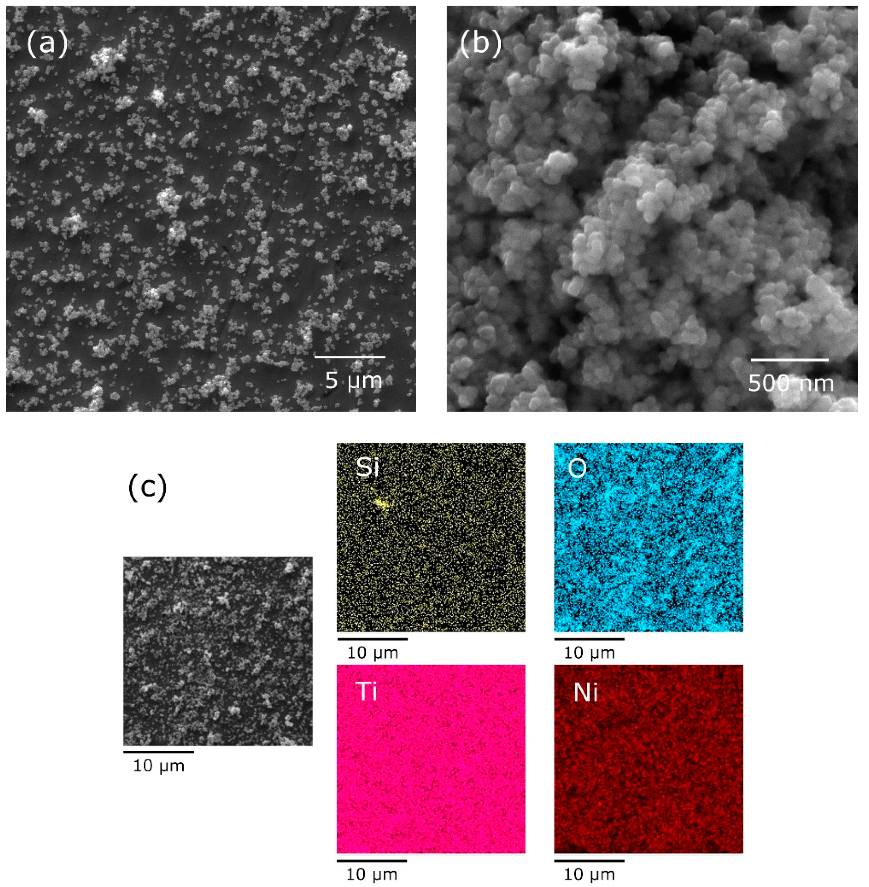 Coatings 14 00391 g003