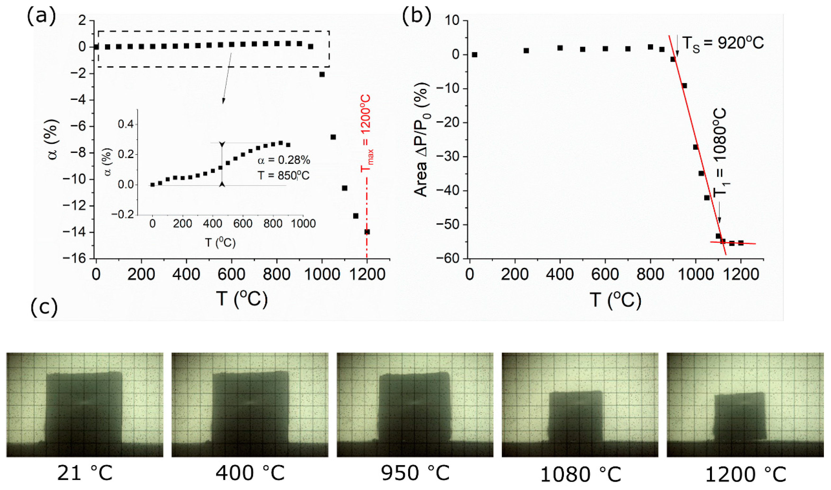 Coatings 14 00391 g005