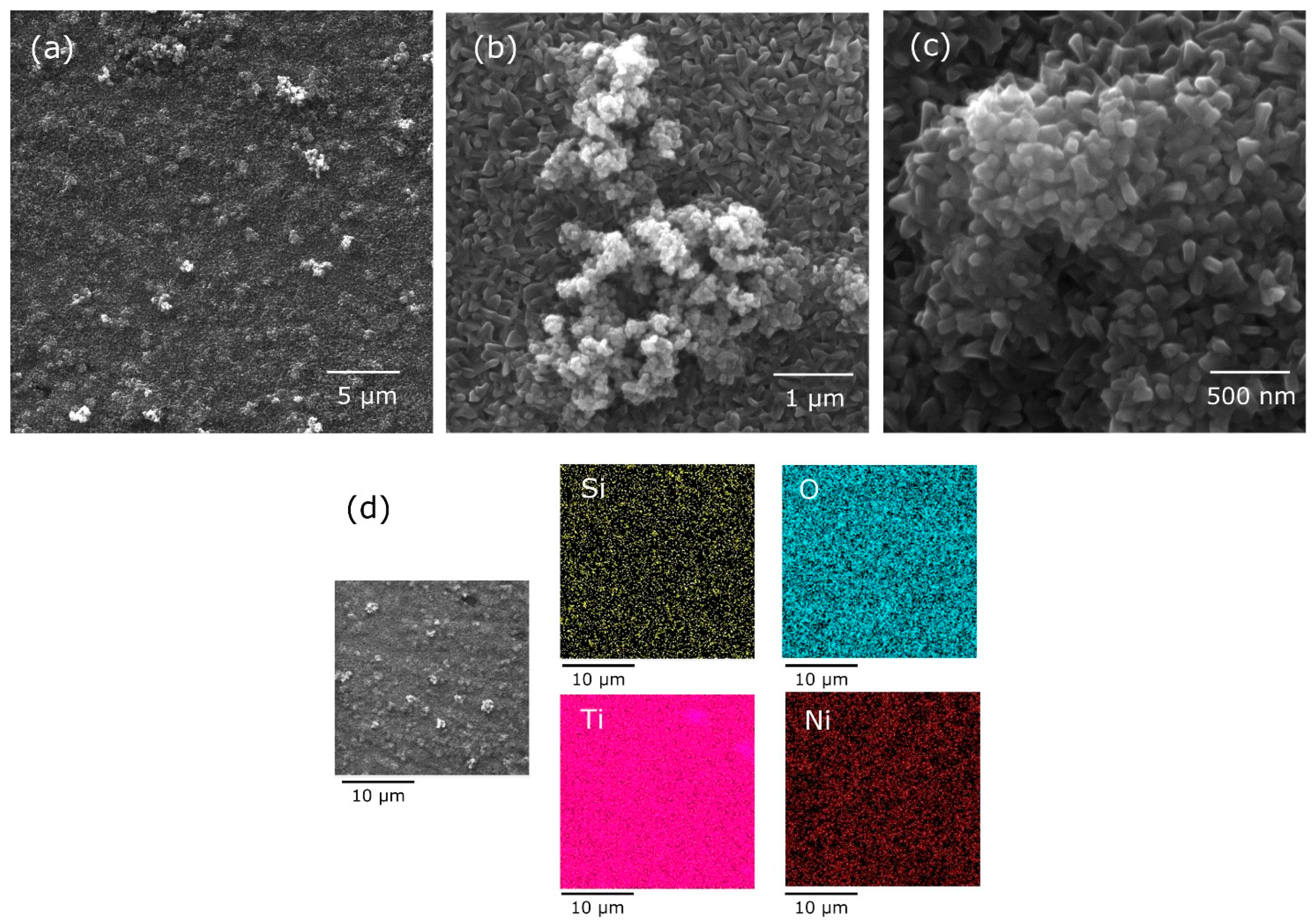 Coatings 14 00391 g007