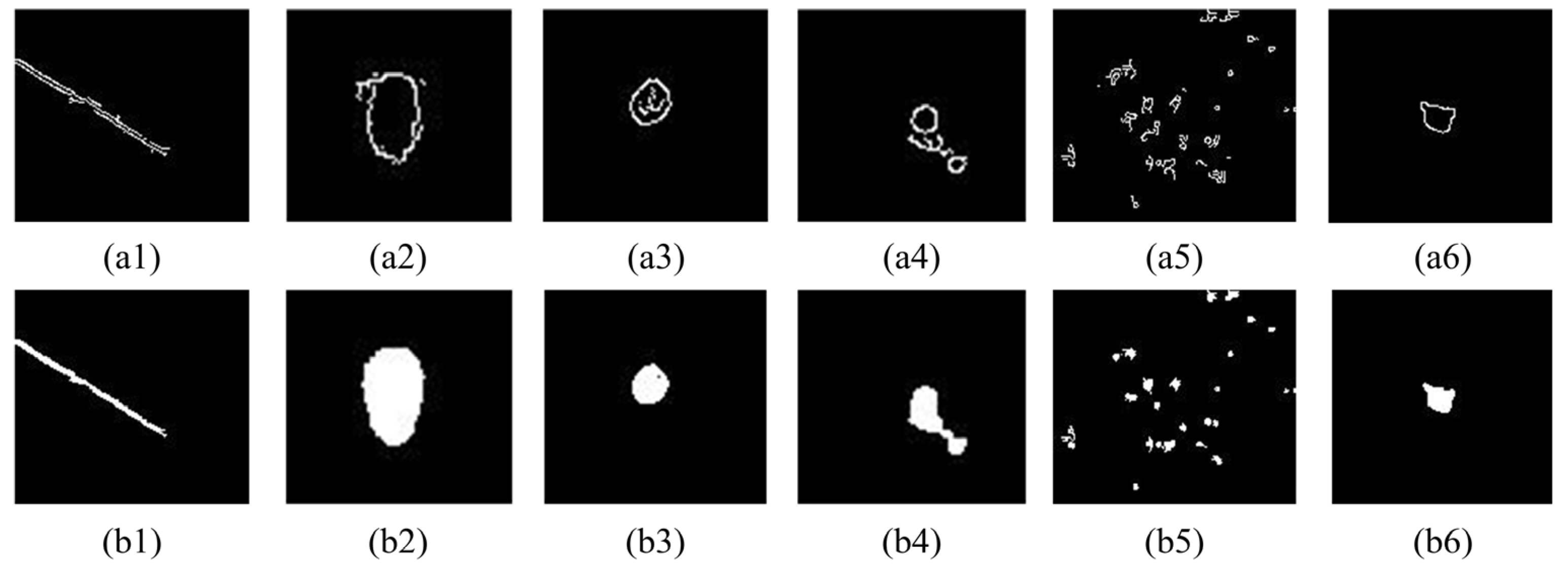 Coatings 14 00392 g013
