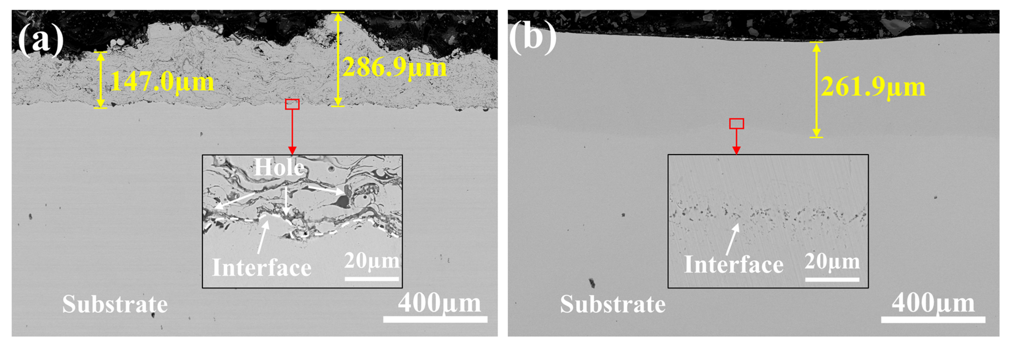 Coatings 14 00393 g002