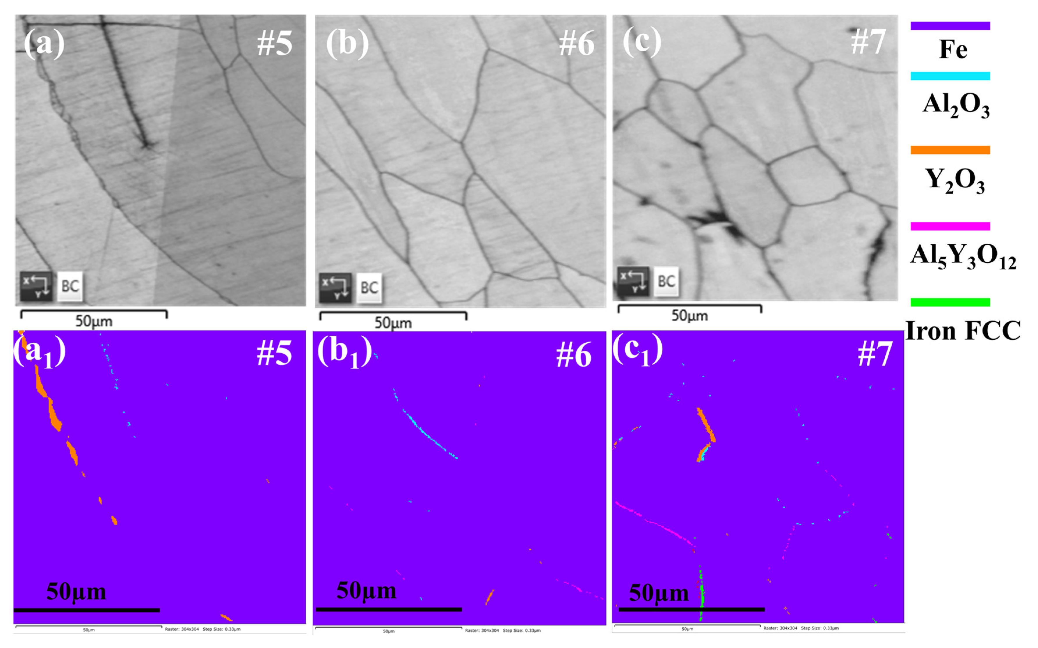 Coatings 14 00393 g006