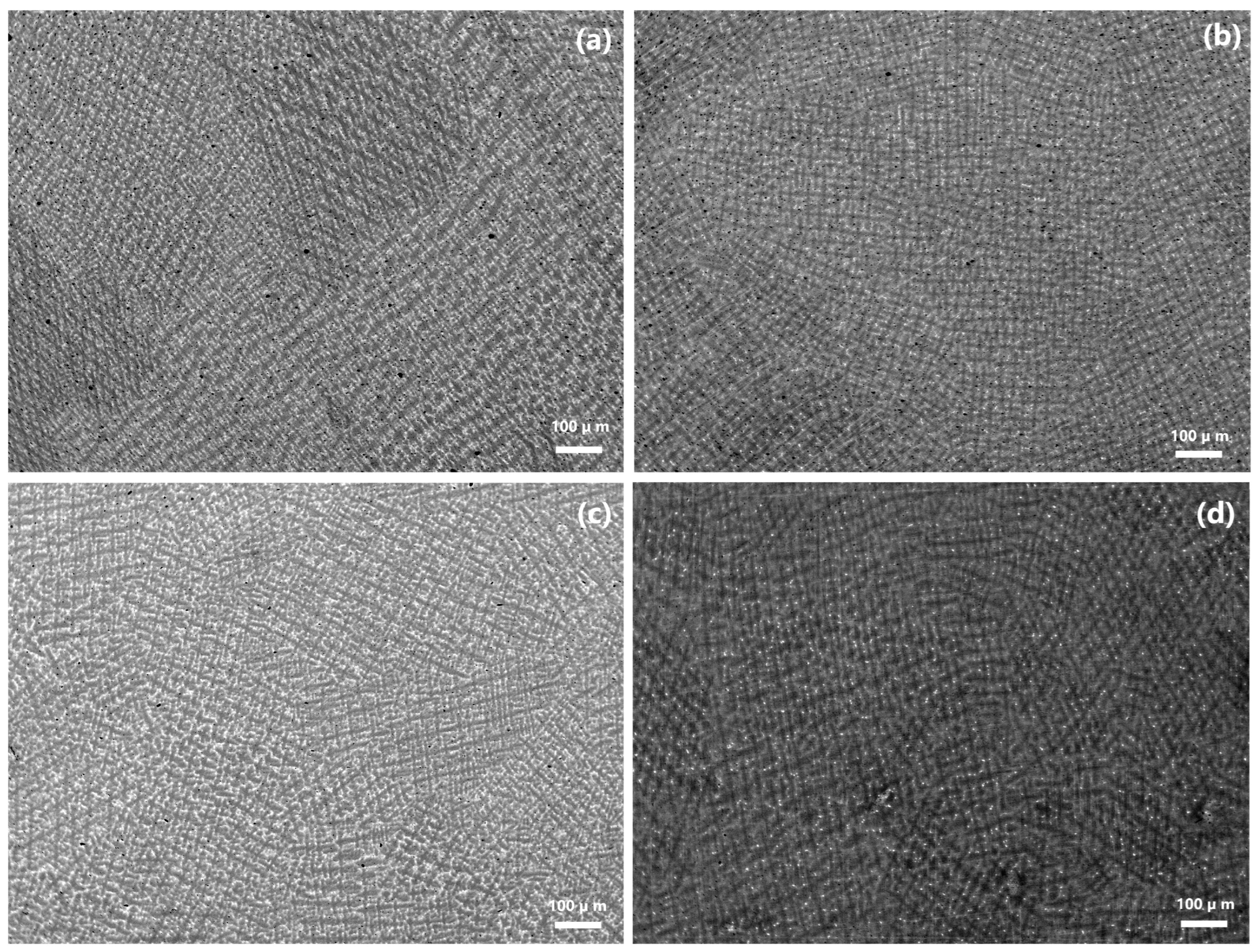 Coatings 14 00396 g001 Coatings 14 00396 g001