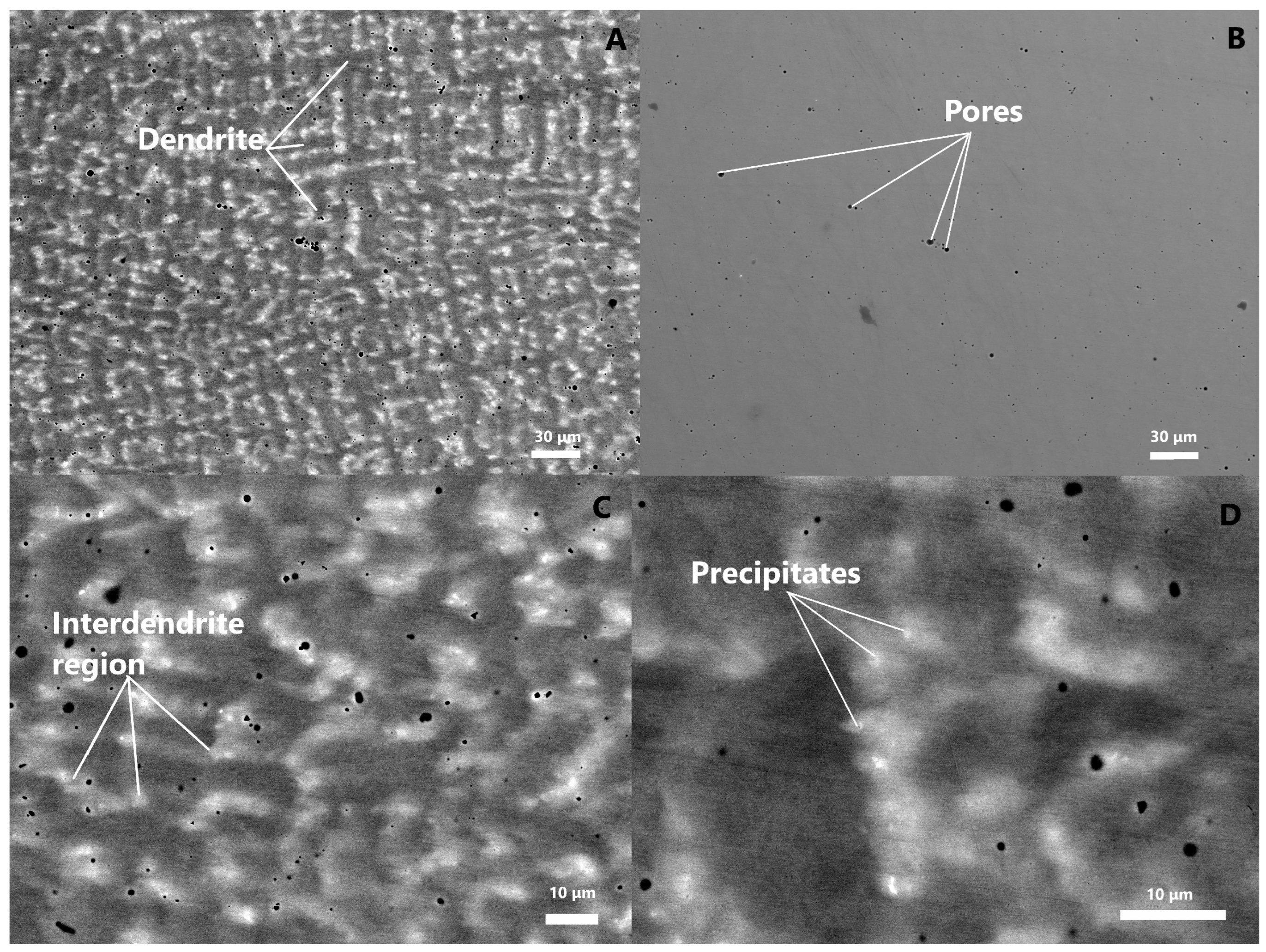 Coatings 14 00396 g002 Coatings 14 00396 g002