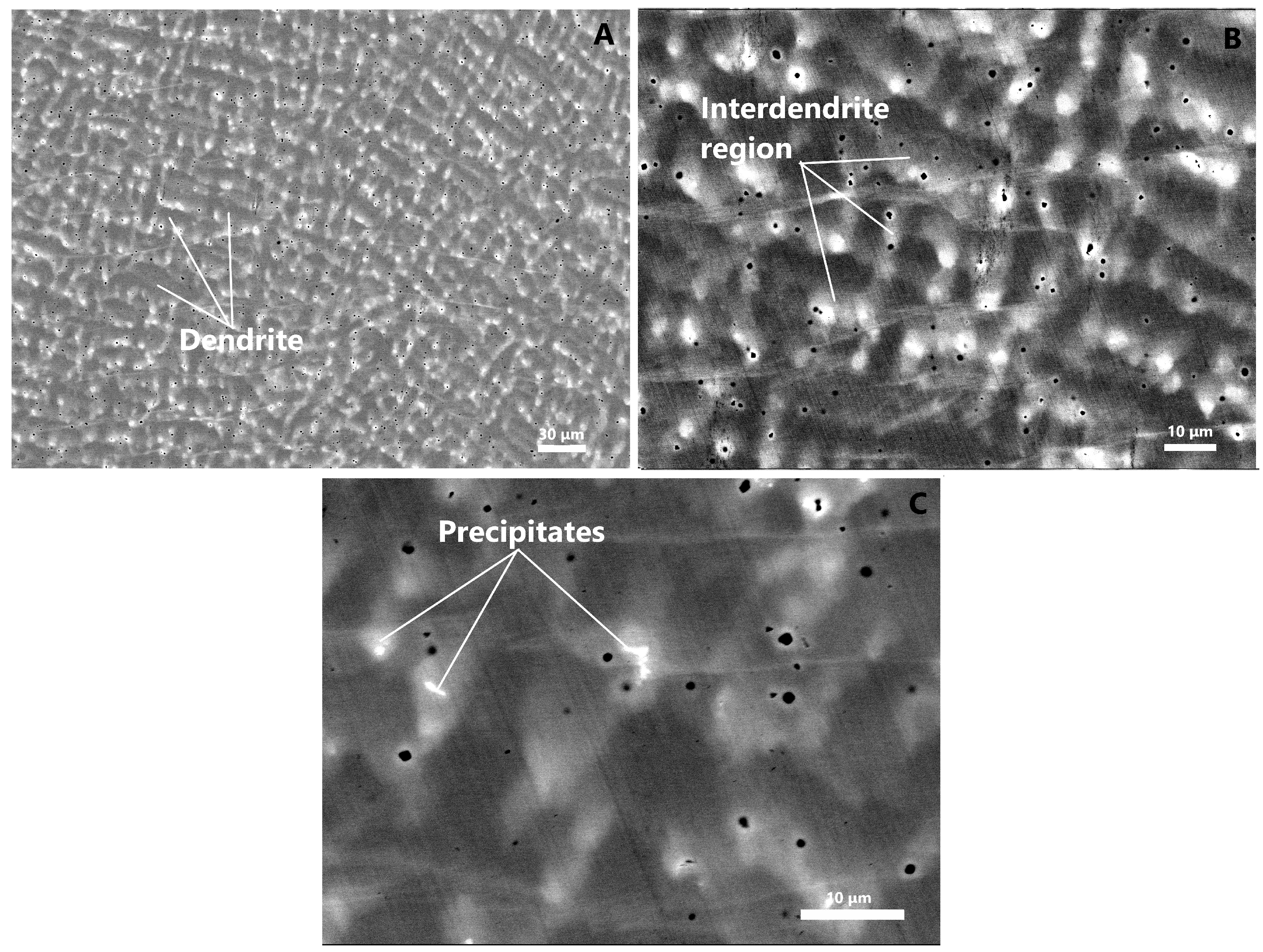 Coatings 14 00396 g004 Coatings 14 00396 g004