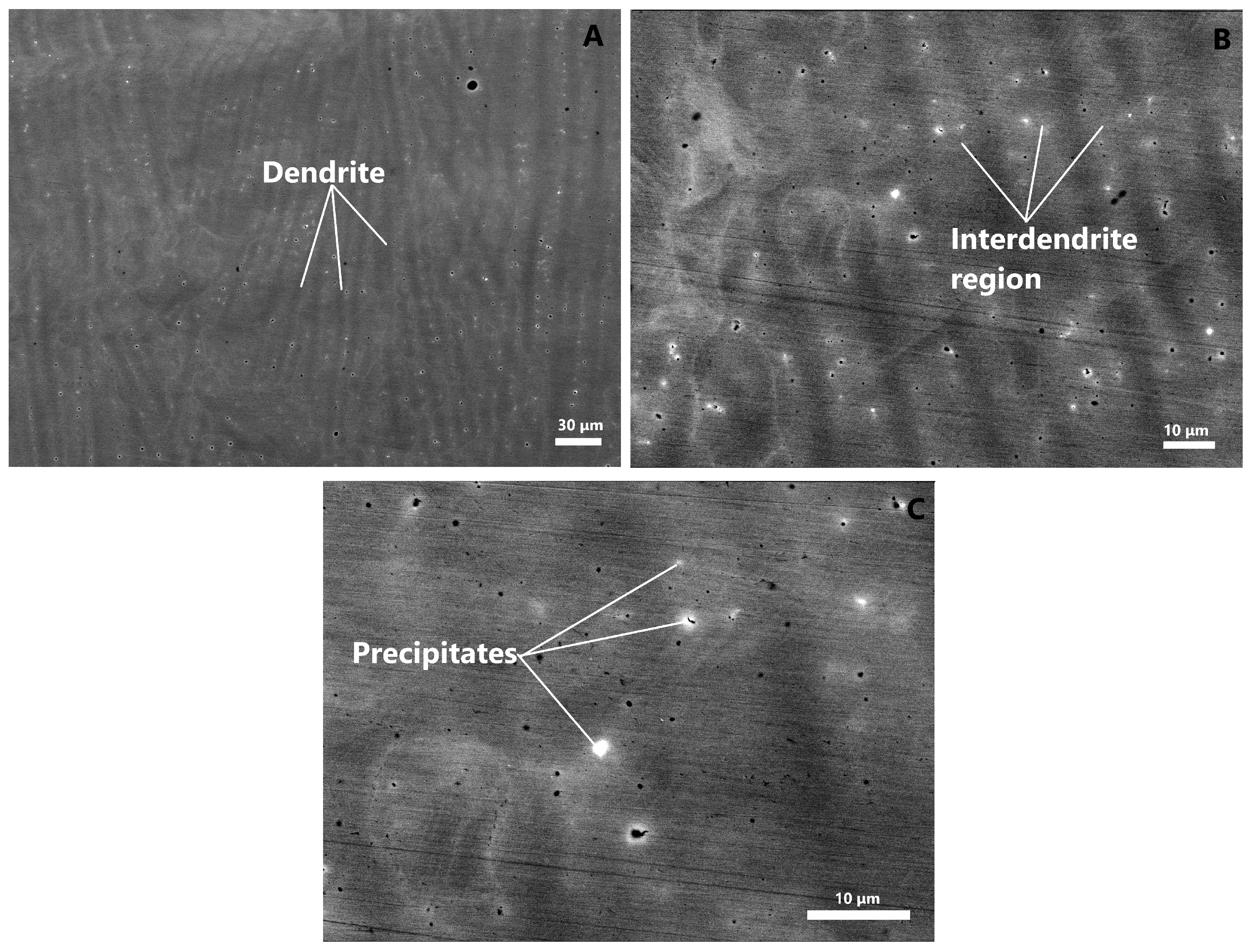 Coatings 14 00396 g005 Coatings 14 00396 g005