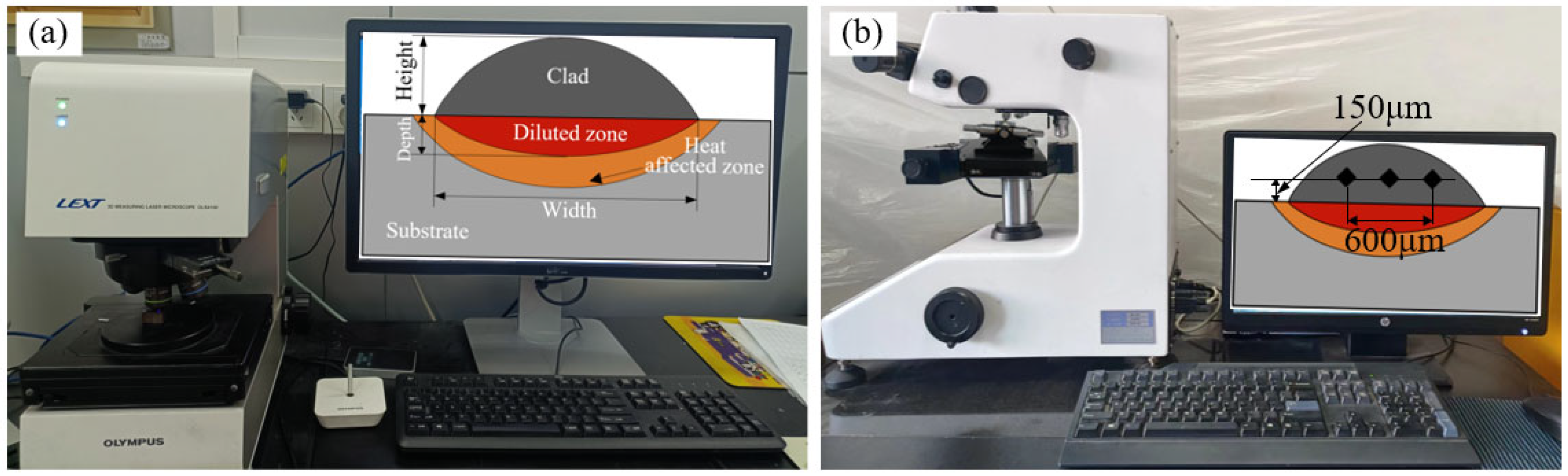 Coatings 14 00401 g004