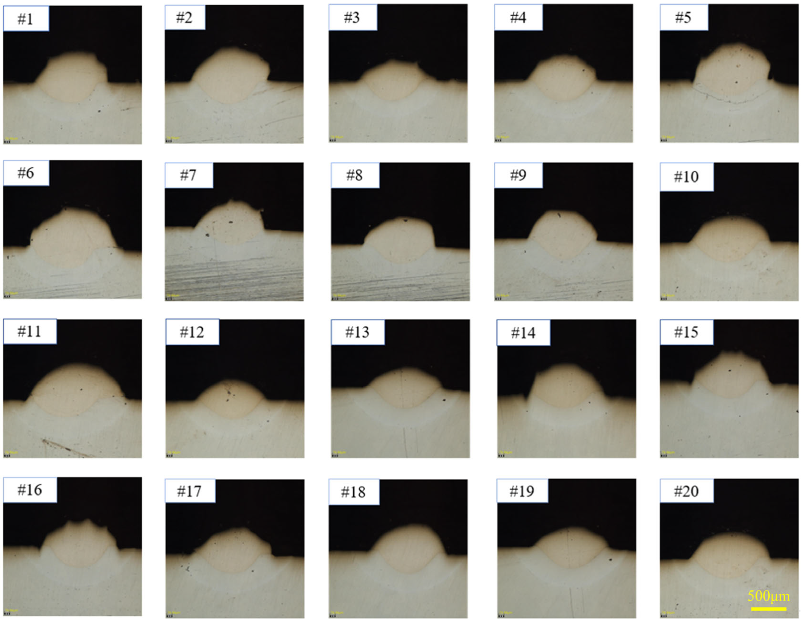 Coatings 14 00401 g005