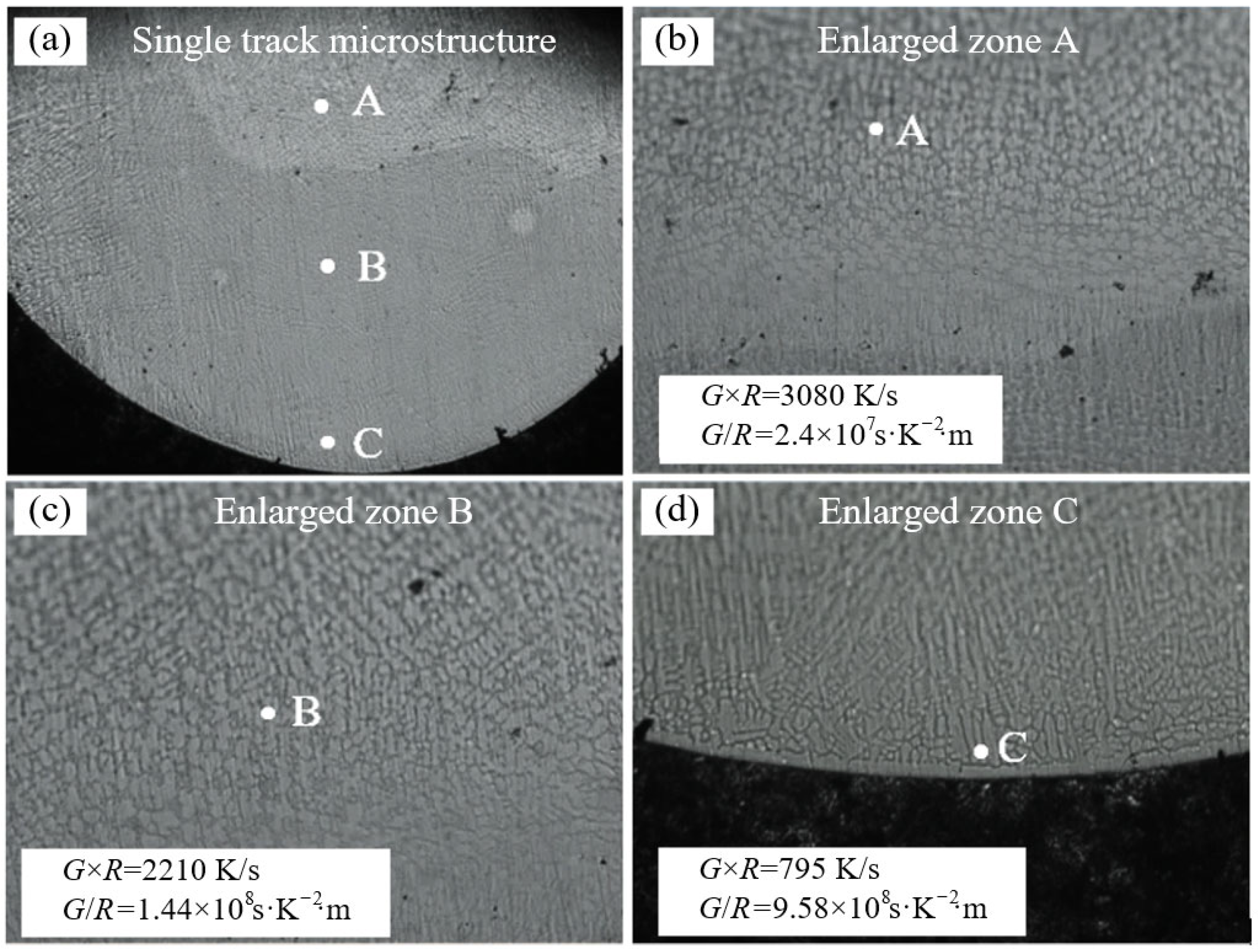 Coatings 14 00401 g015