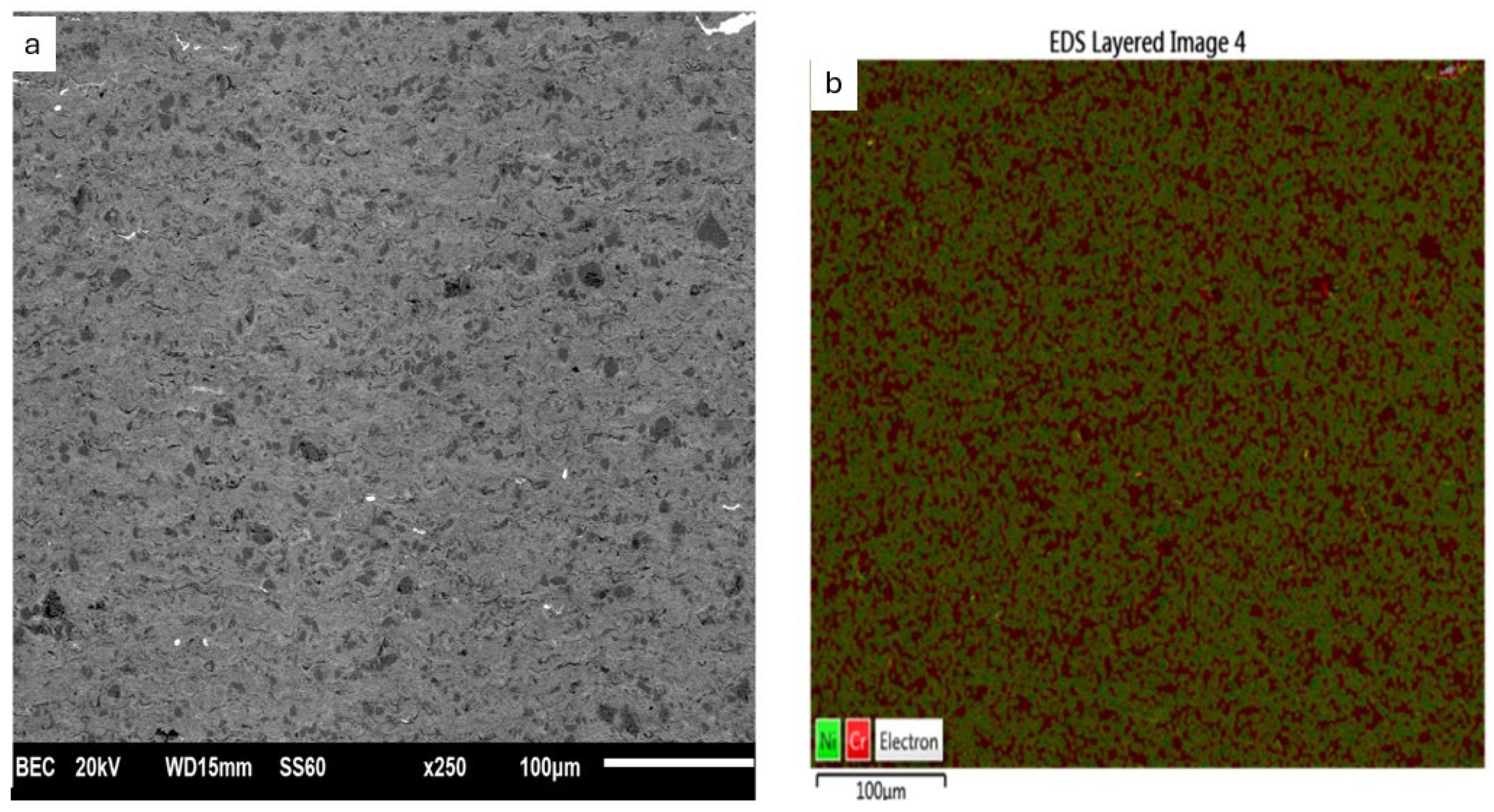 Coatings 14 00402 g003