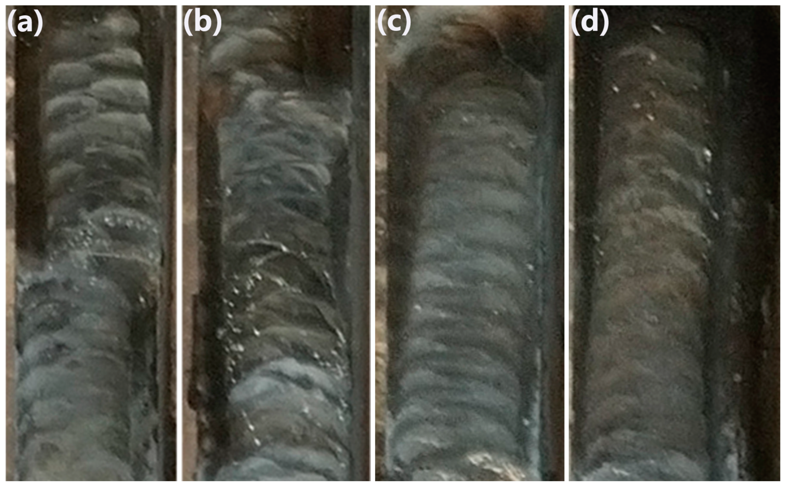 Coatings 14 00403 g004