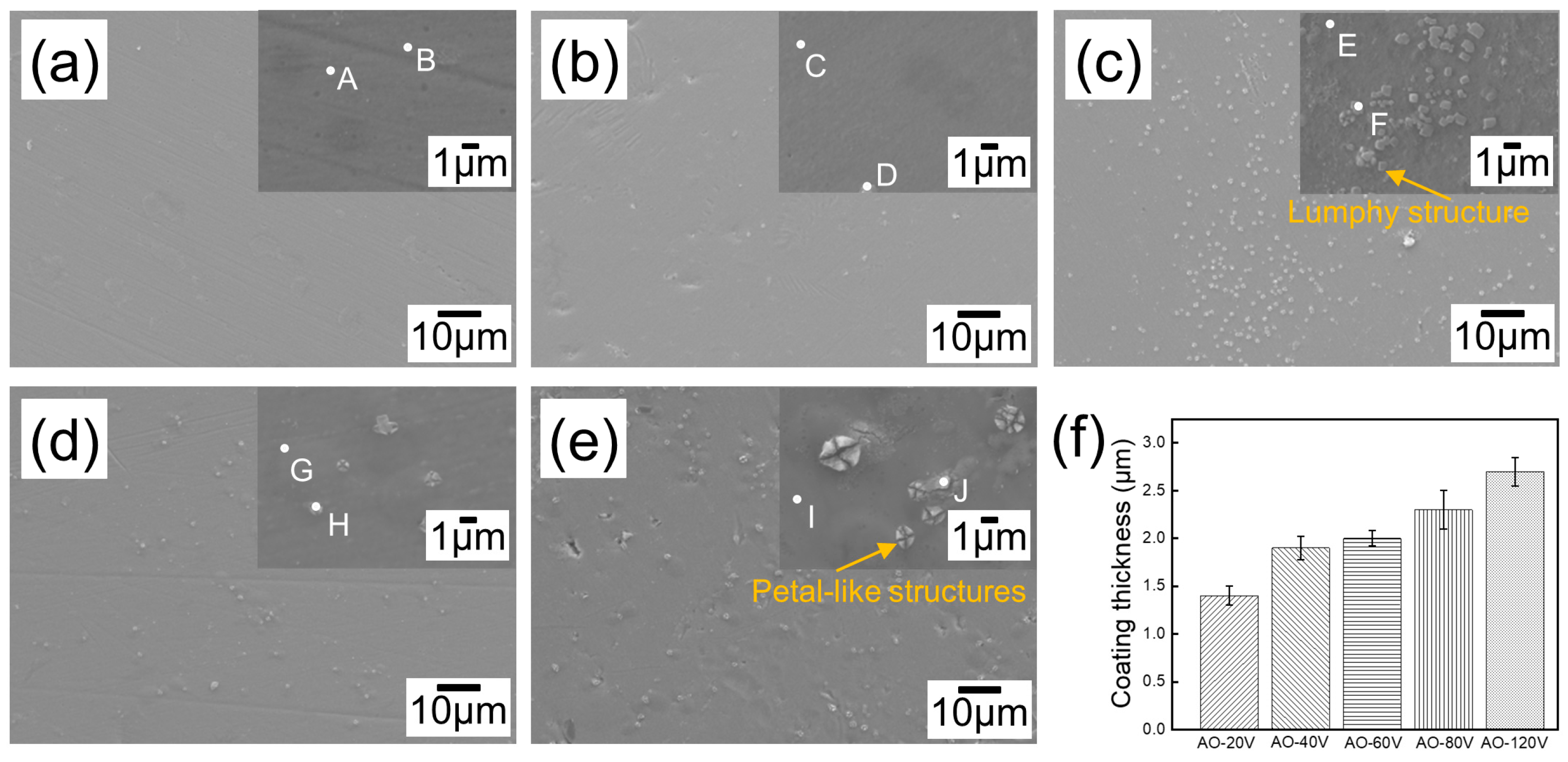 Coatings 14 00405 g004