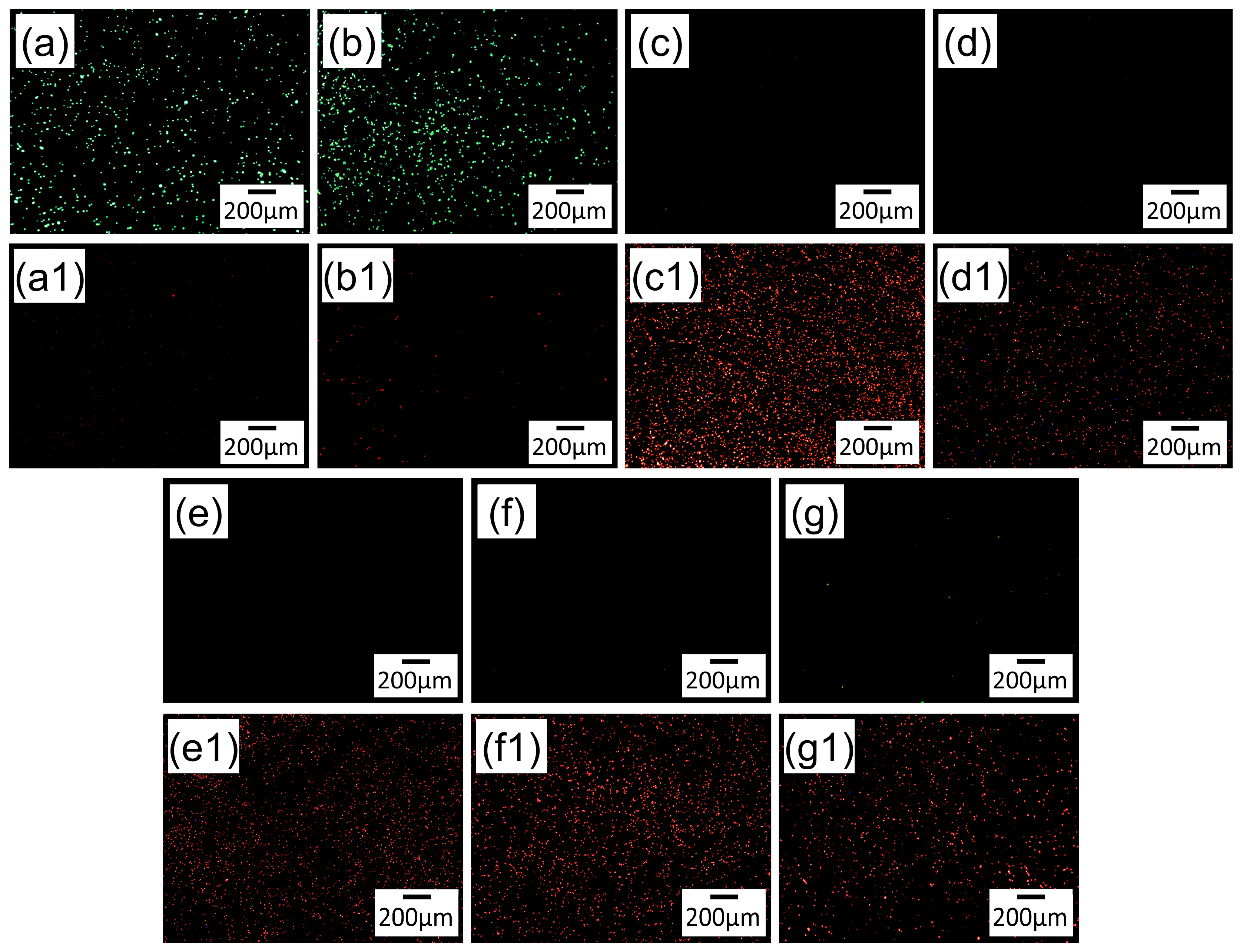 Coatings 14 00405 g010