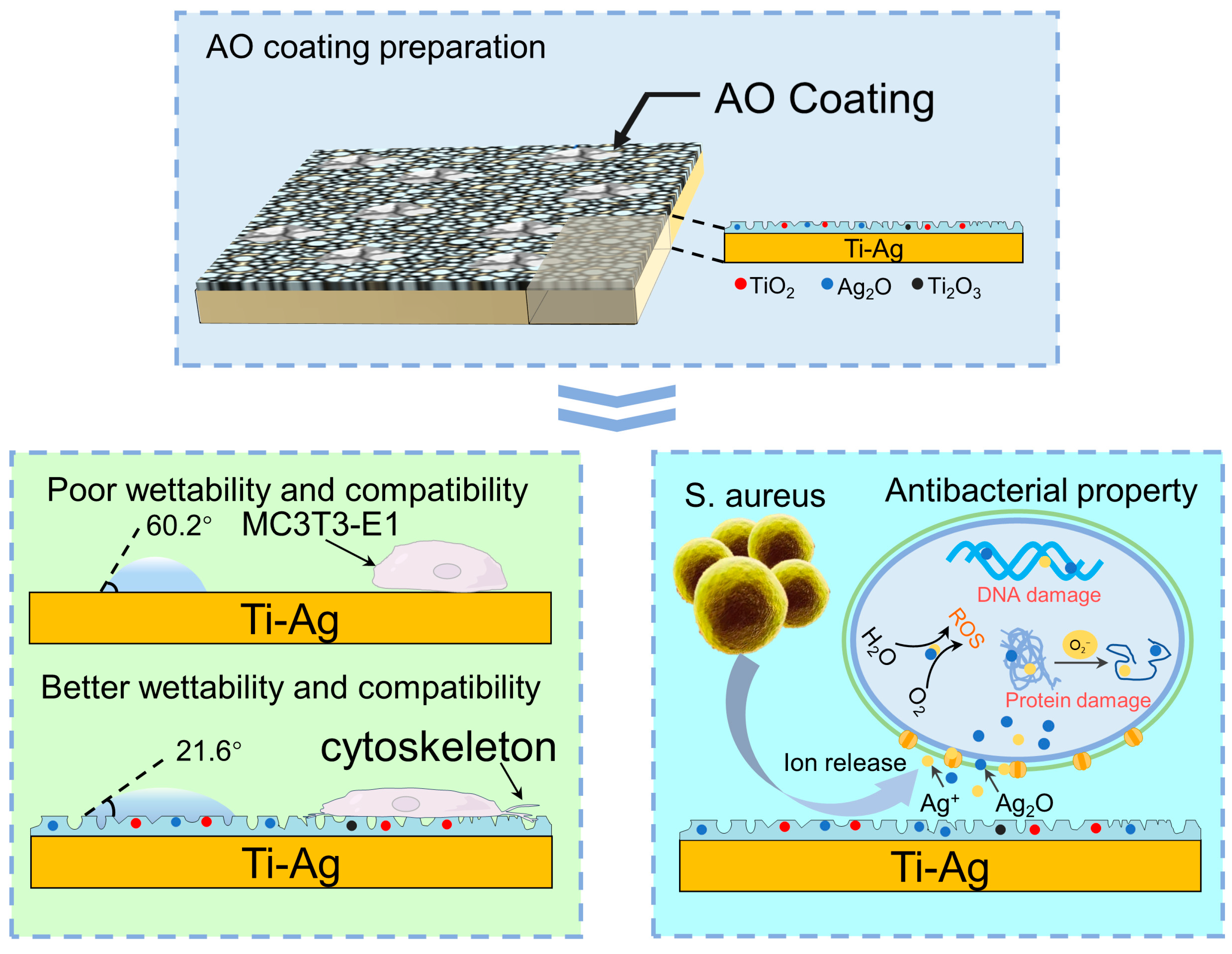 Coatings 14 00405 g013
