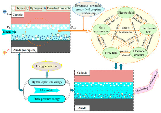 Chicken interferon-induced transmembrane protein 1 promotes
