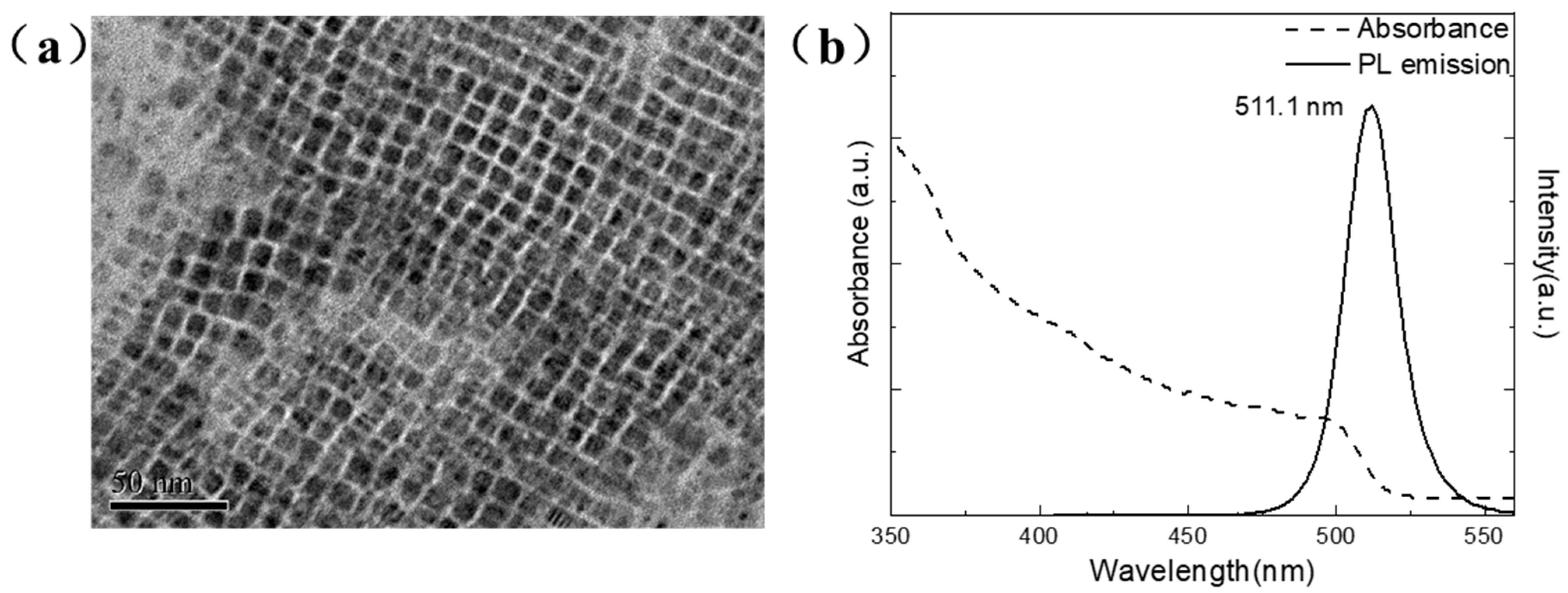 Coatings 14 00409 g001