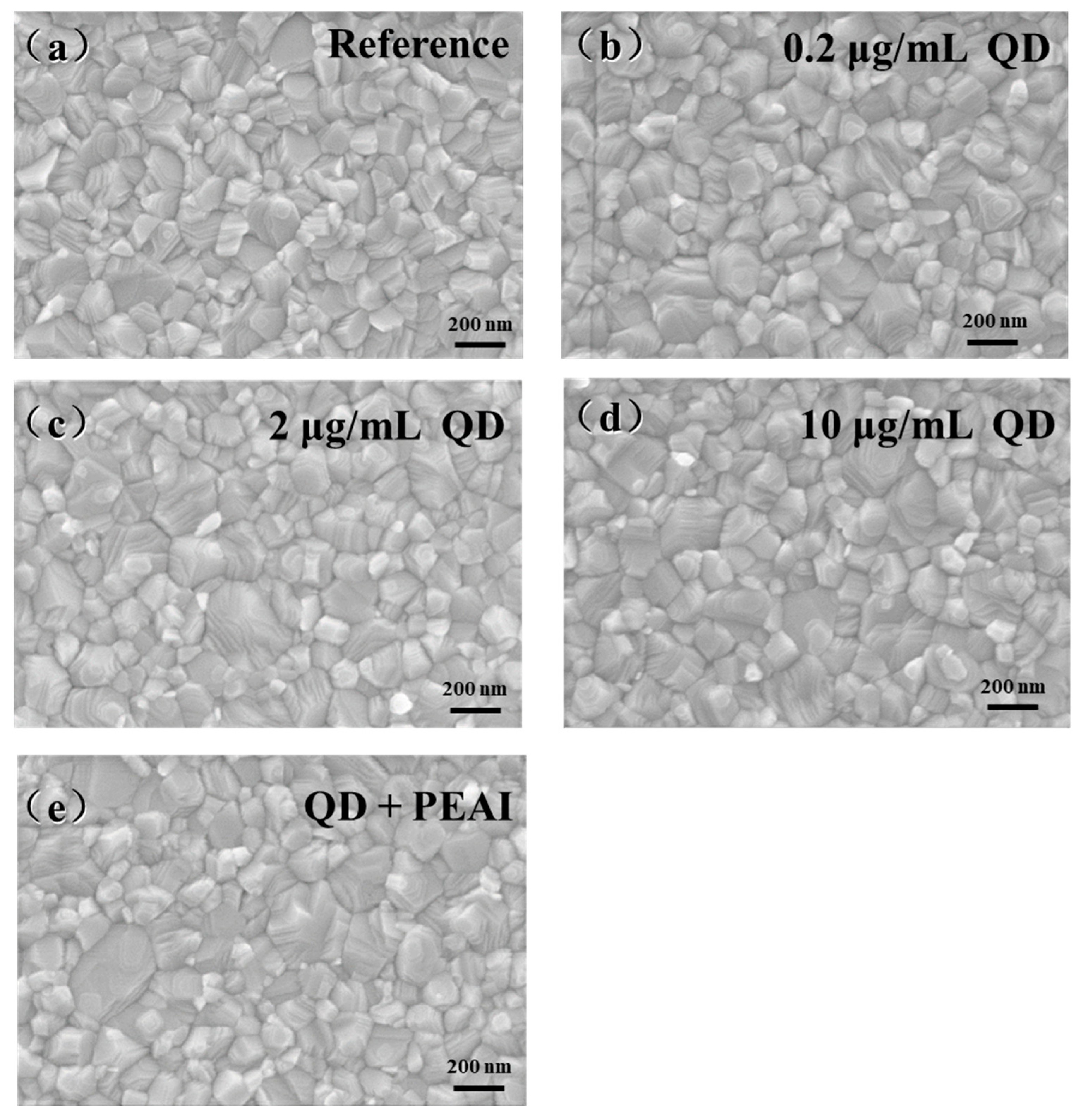 Coatings 14 00409 g003