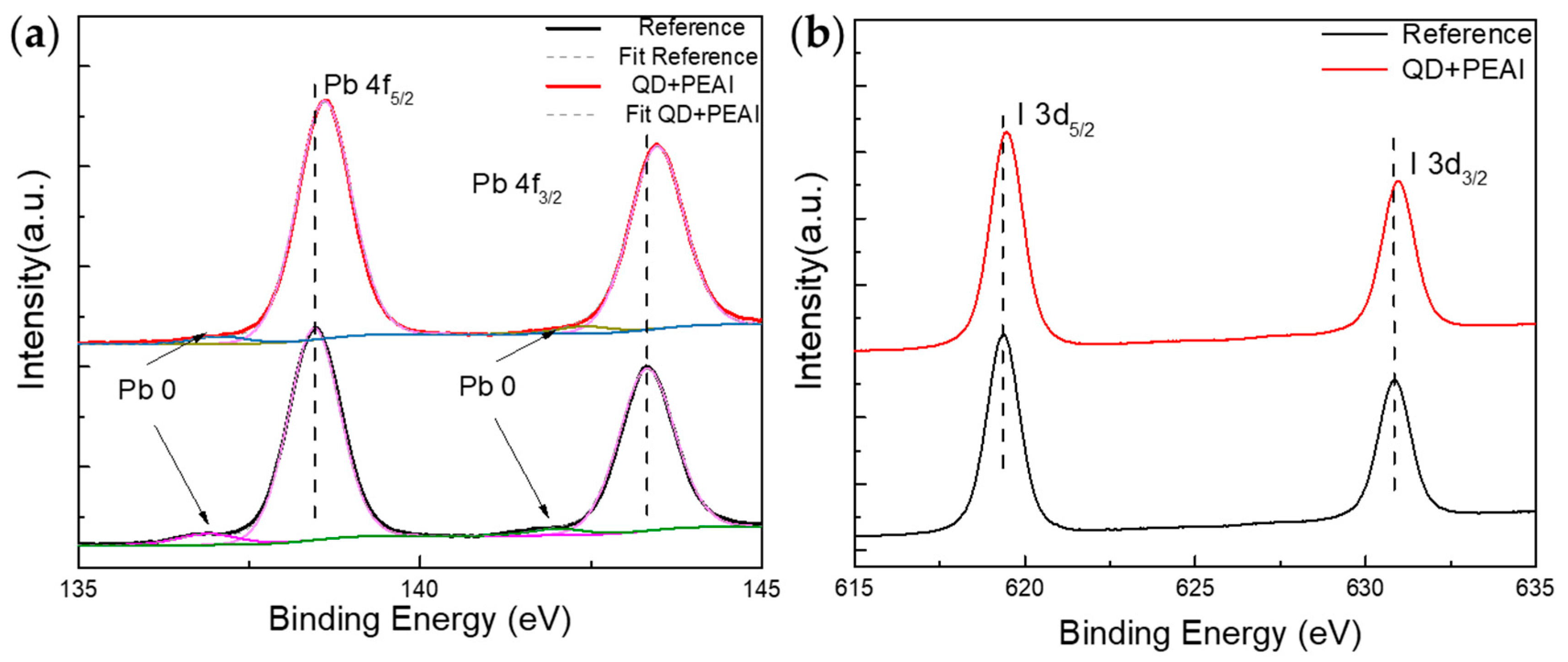 Coatings 14 00409 g006
