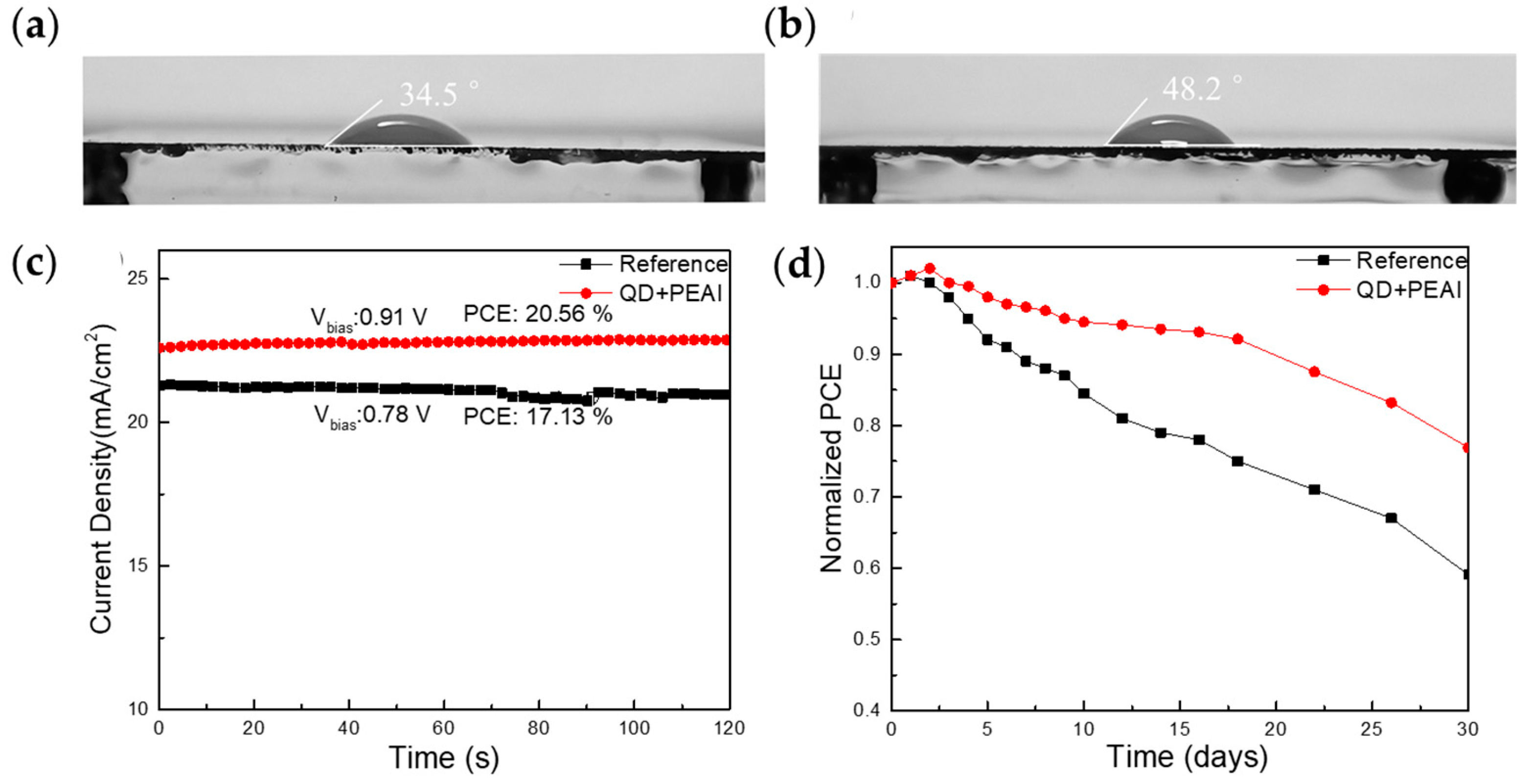 Coatings 14 00409 g010