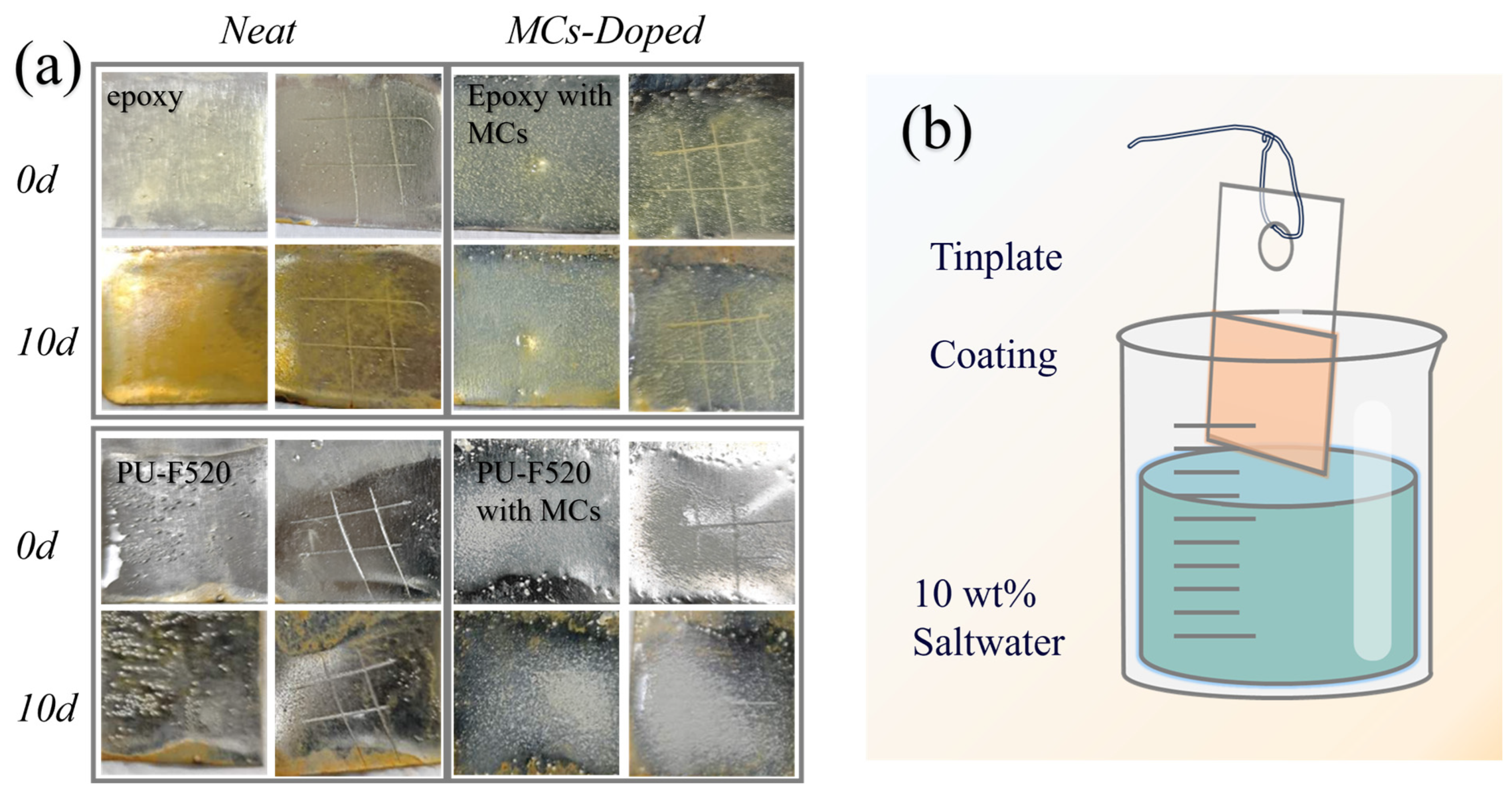 Coatings 14 00410 g008