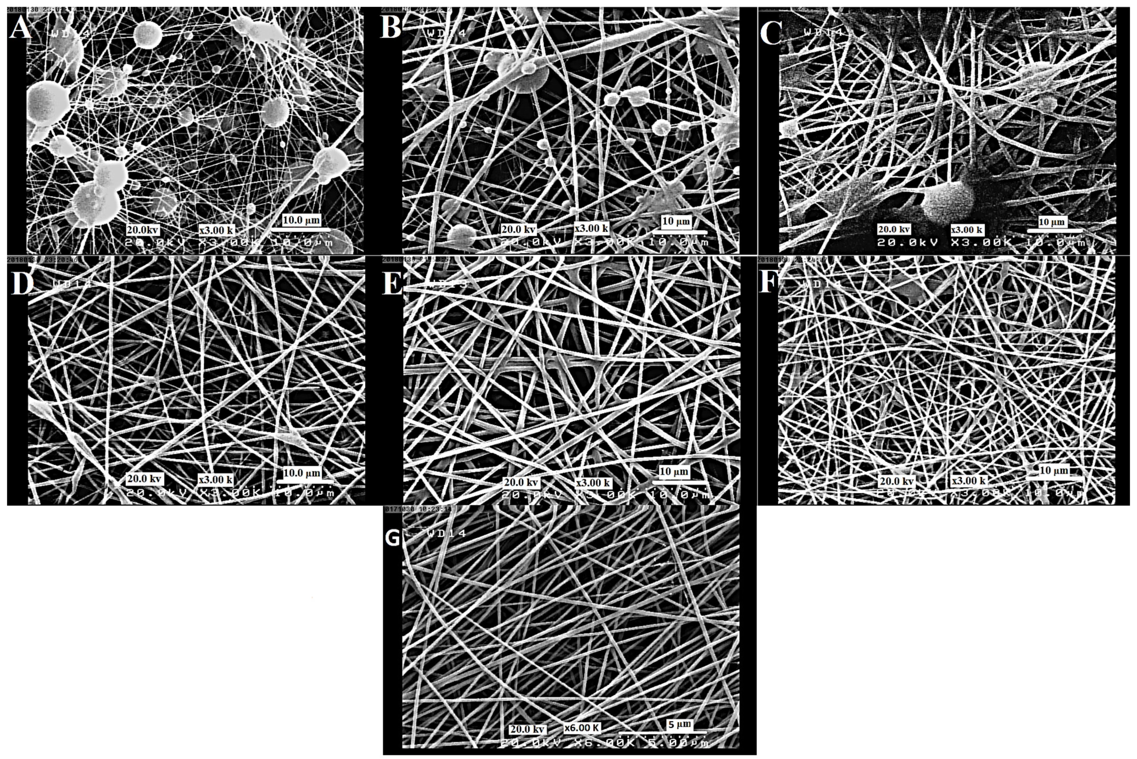 Coatings 14 00411 g007