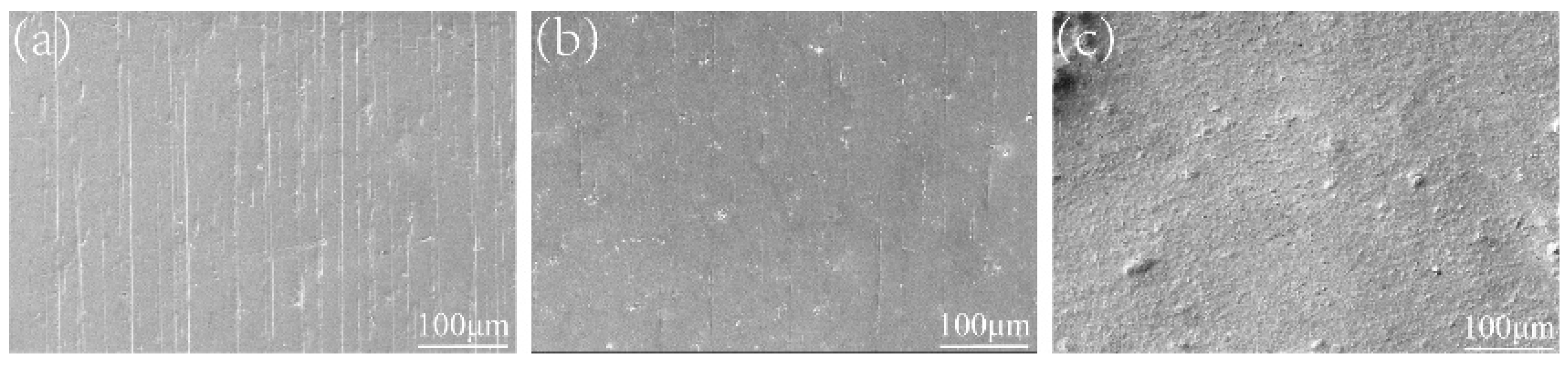 Coatings 14 00416 g001