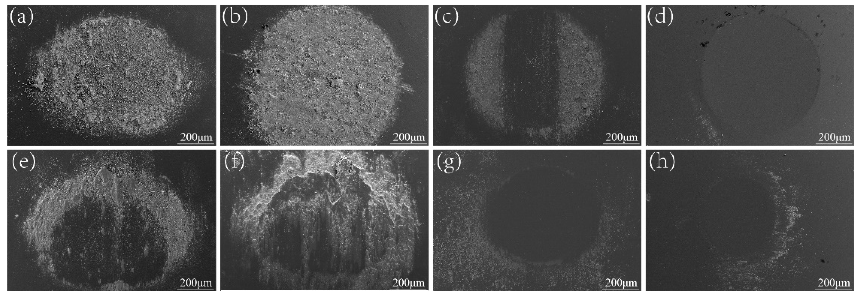 Coatings 14 00416 g008
