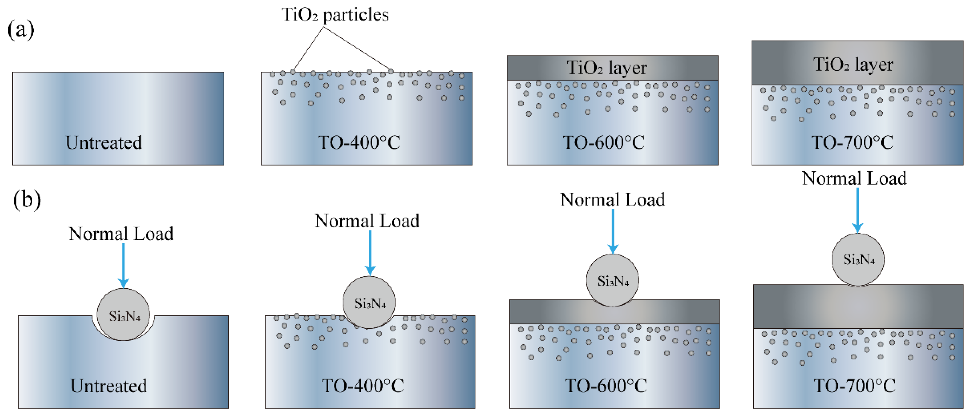 Coatings 14 00416 g009