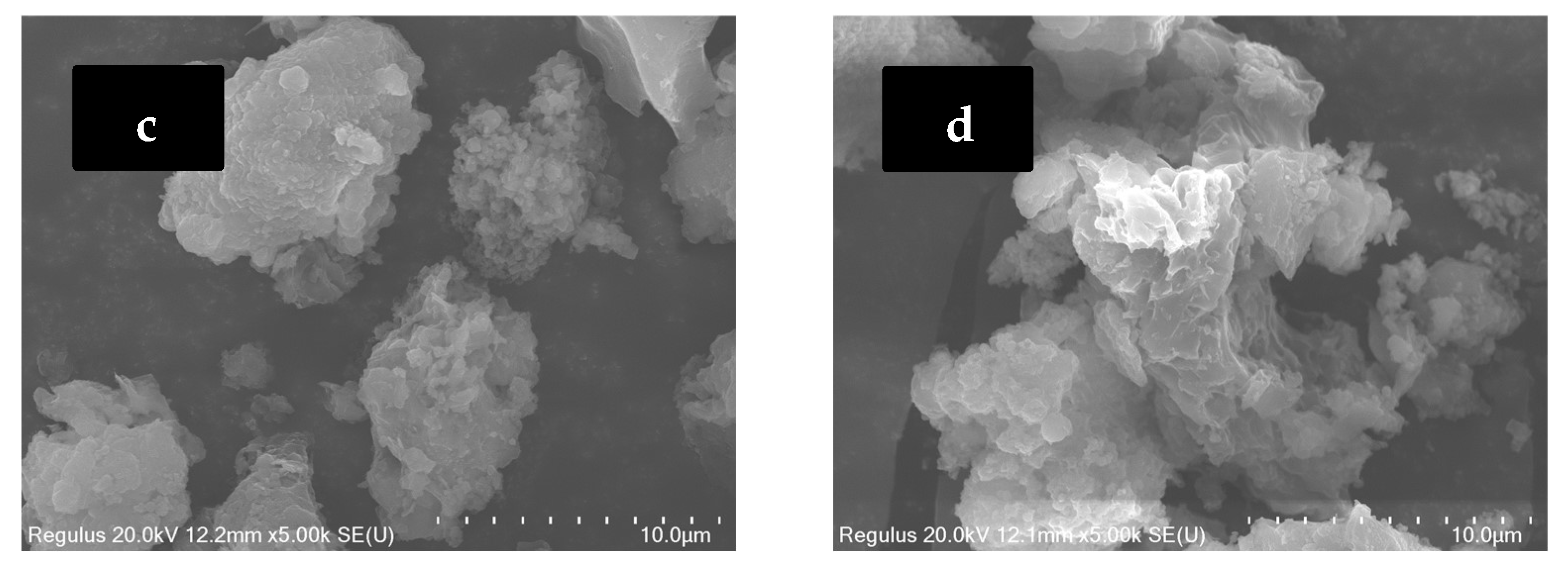 Coatings 14 00420 g004b