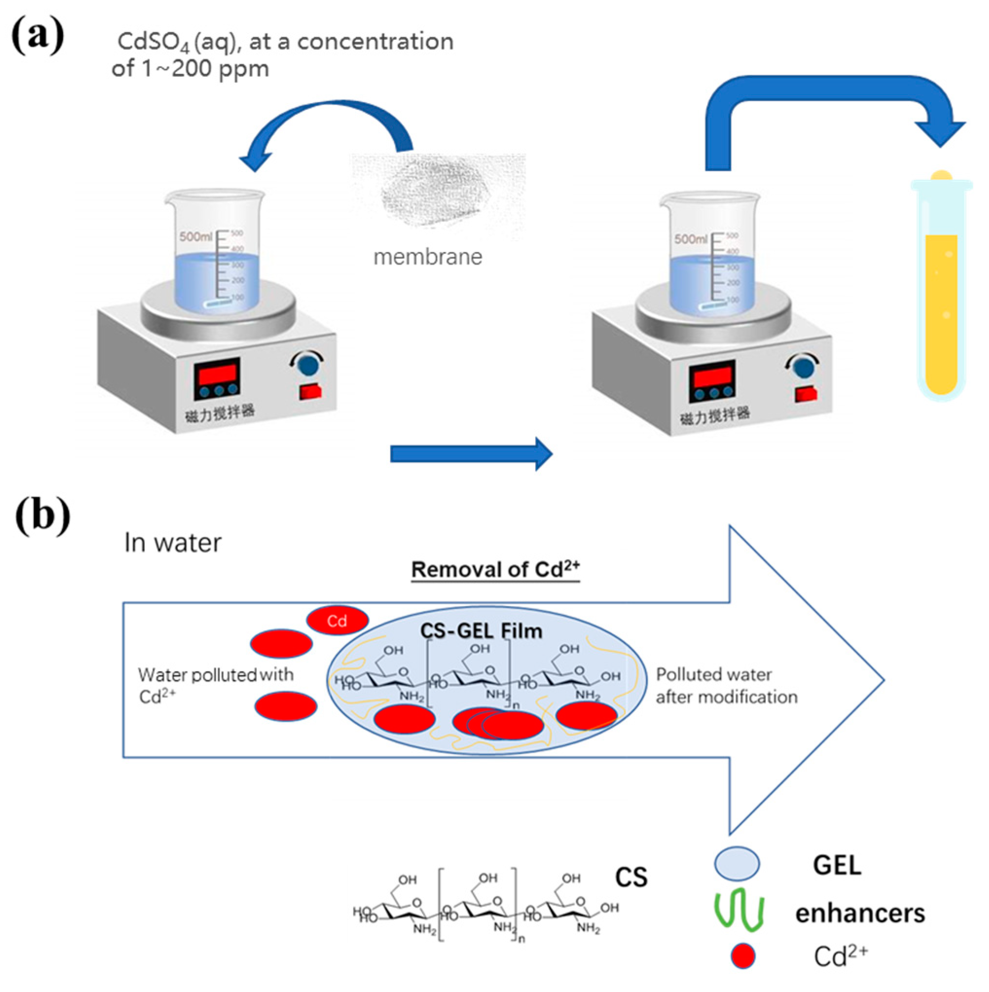 Coatings 14 00421 g003a Coatings 14 00421 g003a