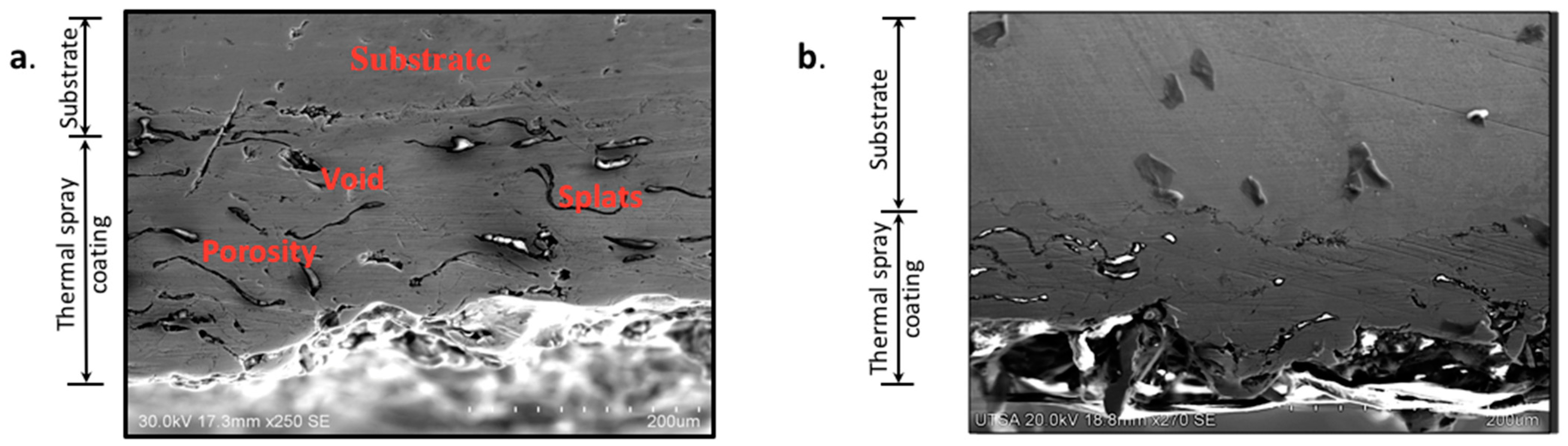 Coatings 14 00423 g004