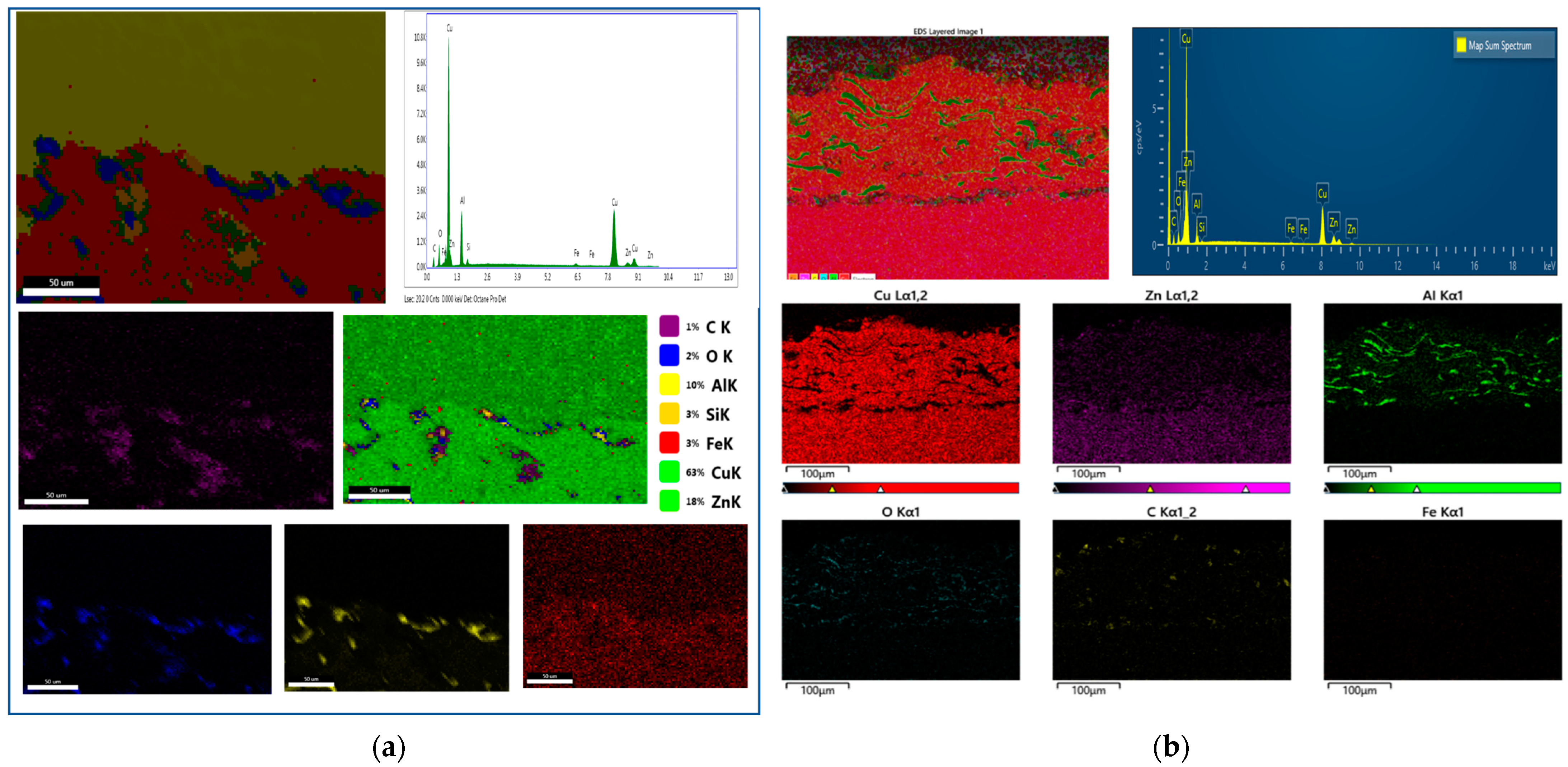 Coatings 14 00423 g005