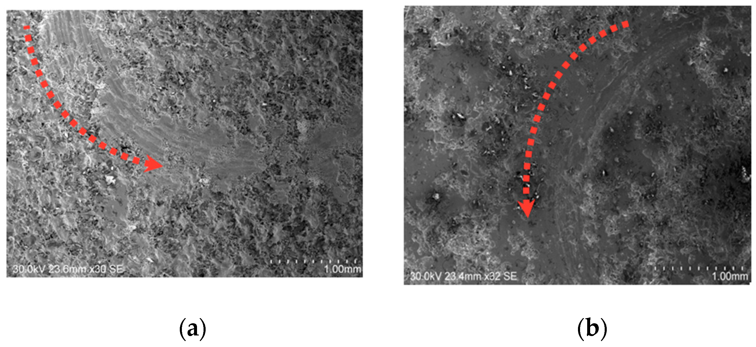 Coatings 14 00423 g009