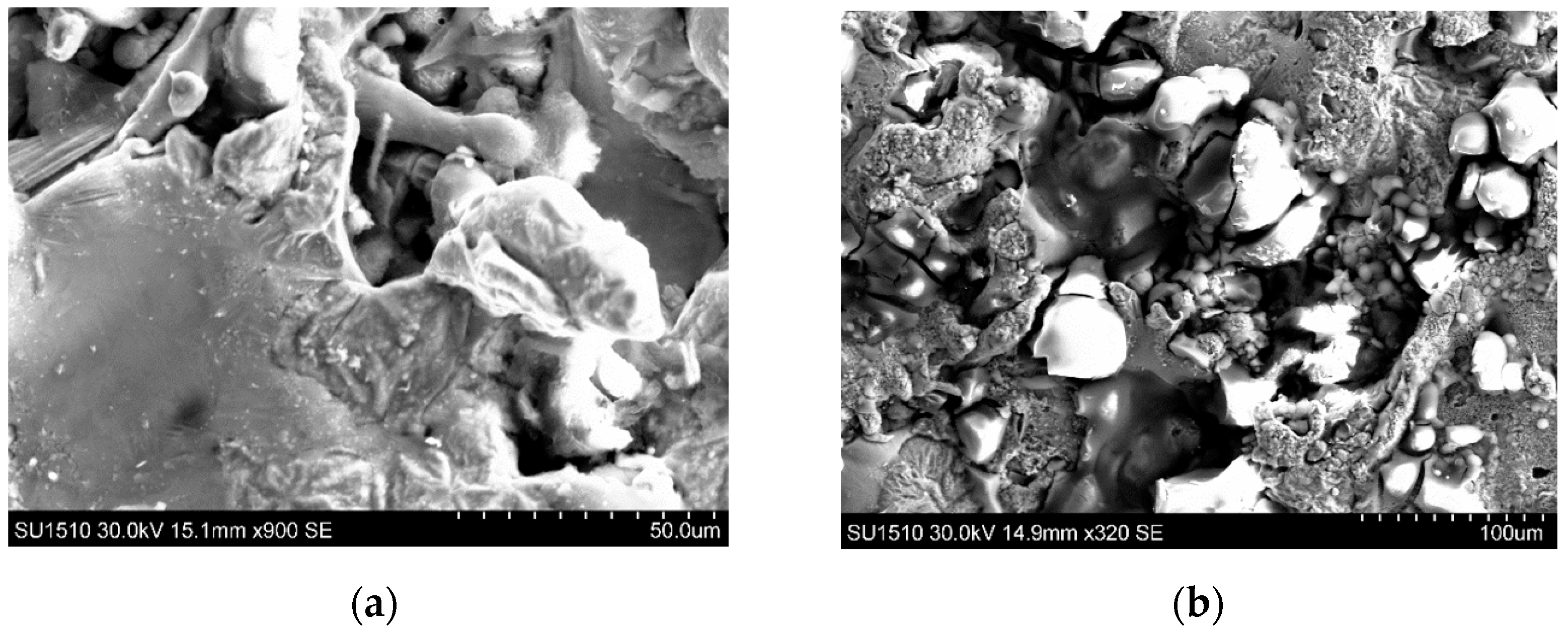 Coatings 14 00423 g014