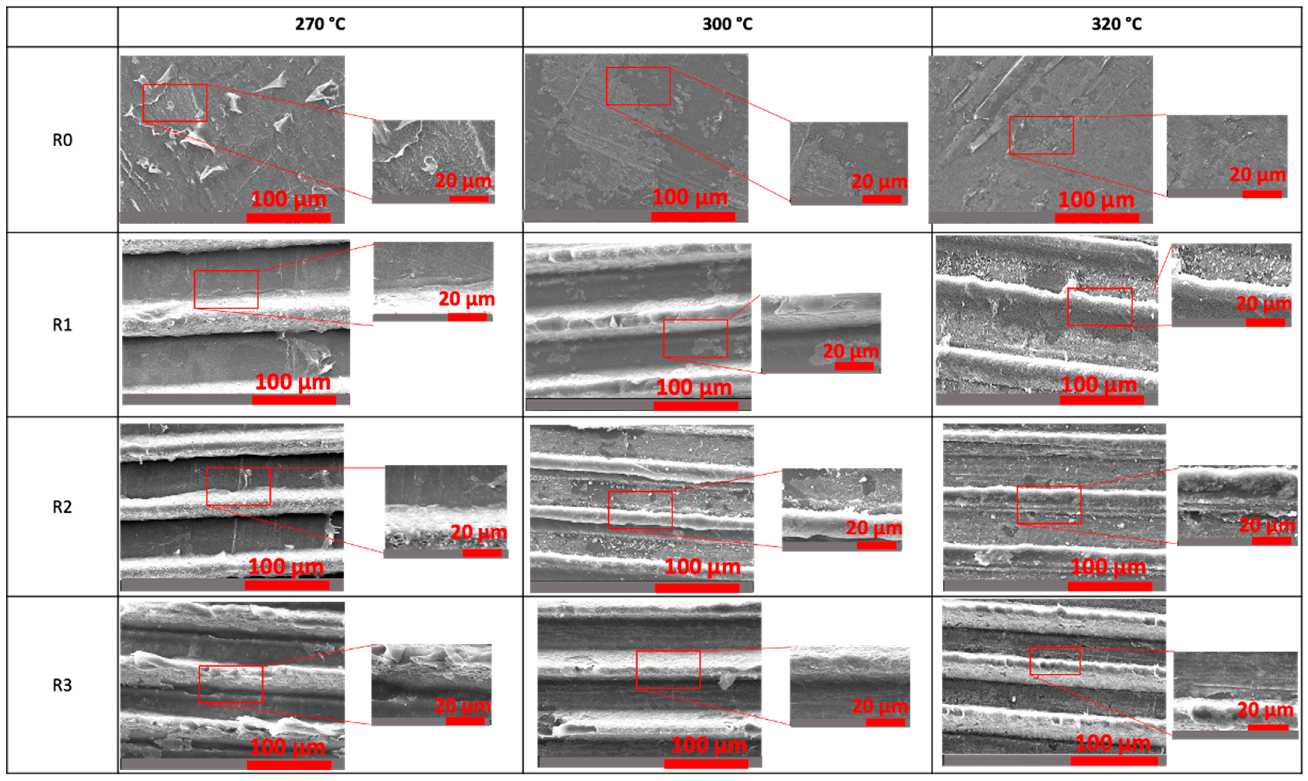 Coatings 14 00424 g006
