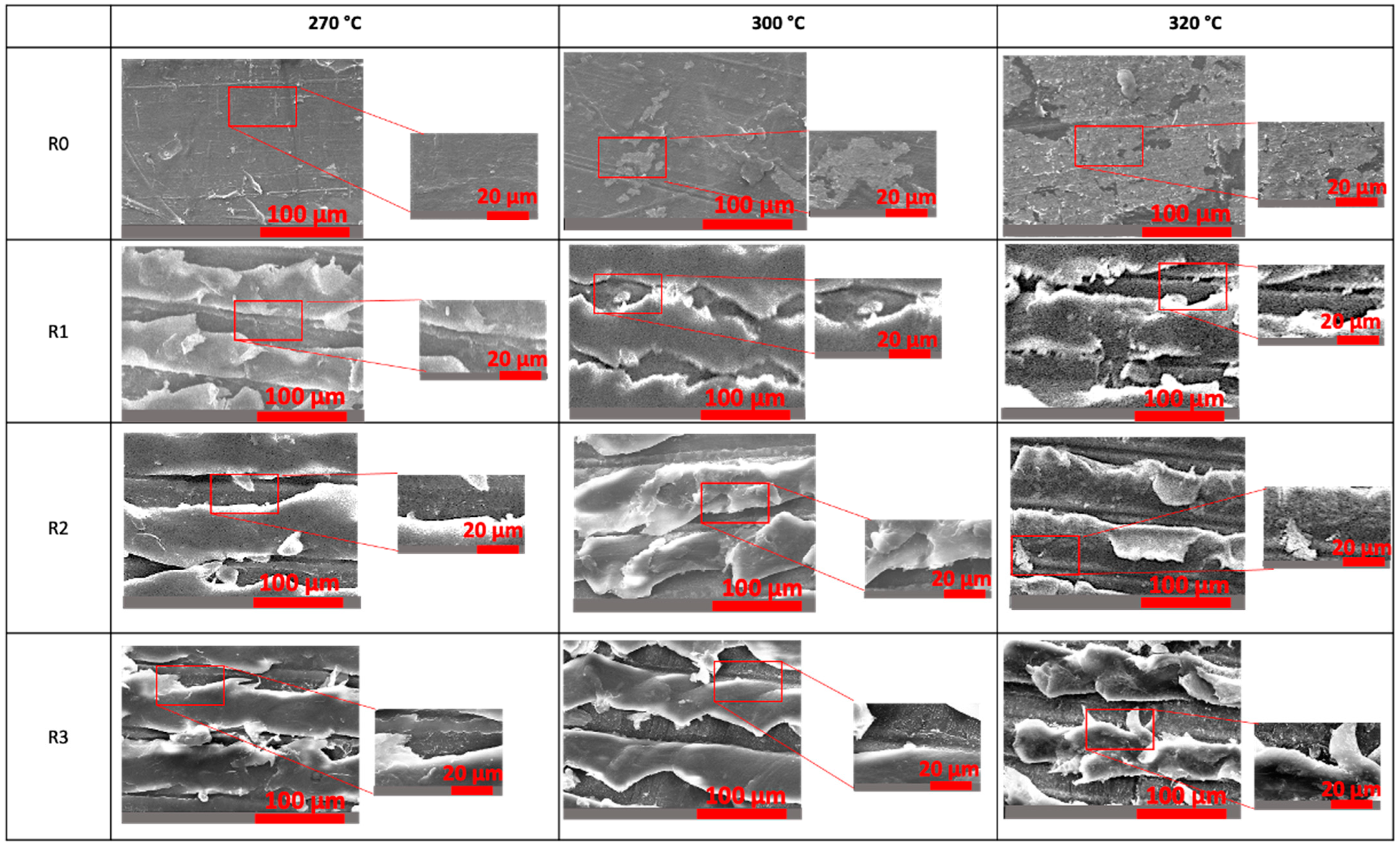 Coatings 14 00424 g007