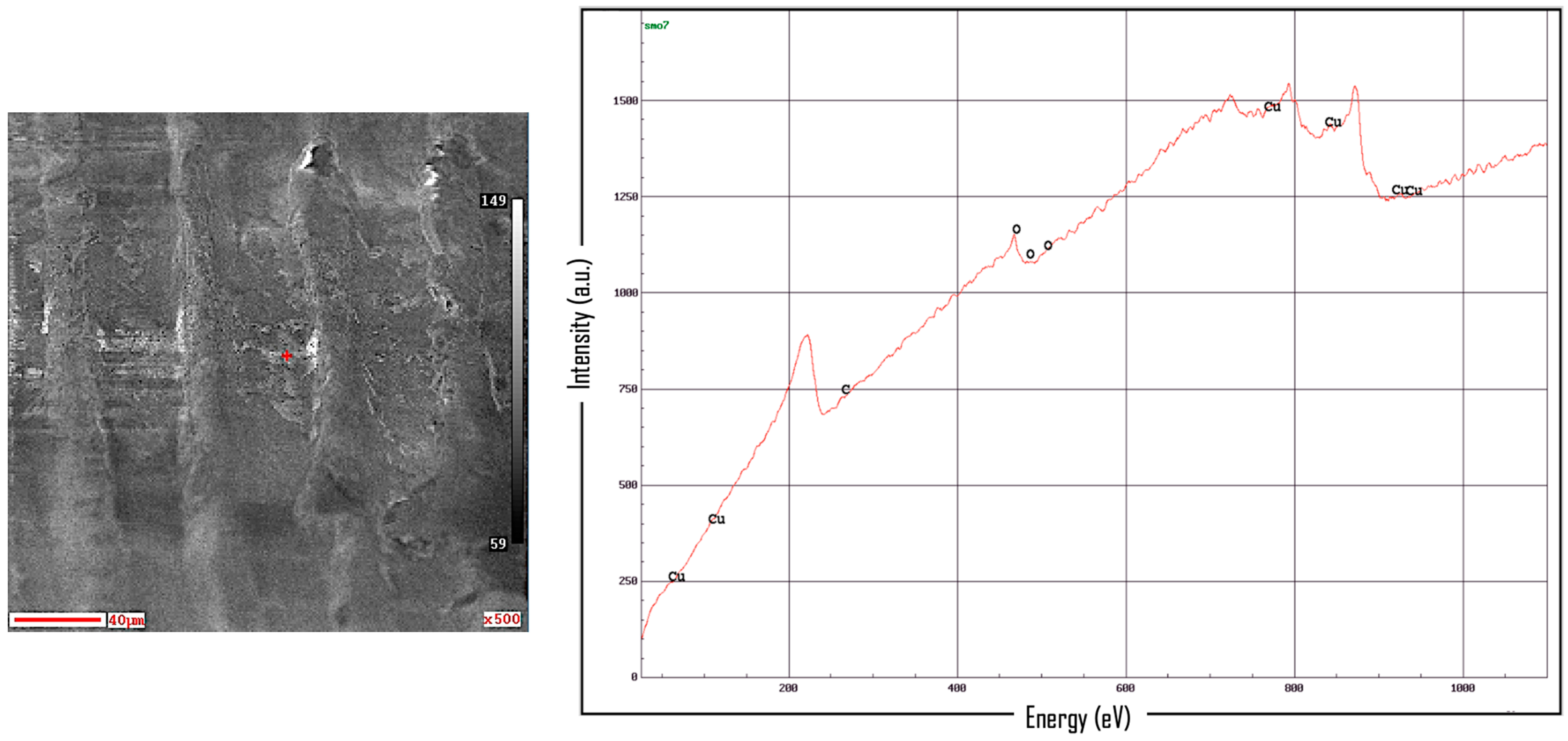 Coatings 14 00424 g0a2