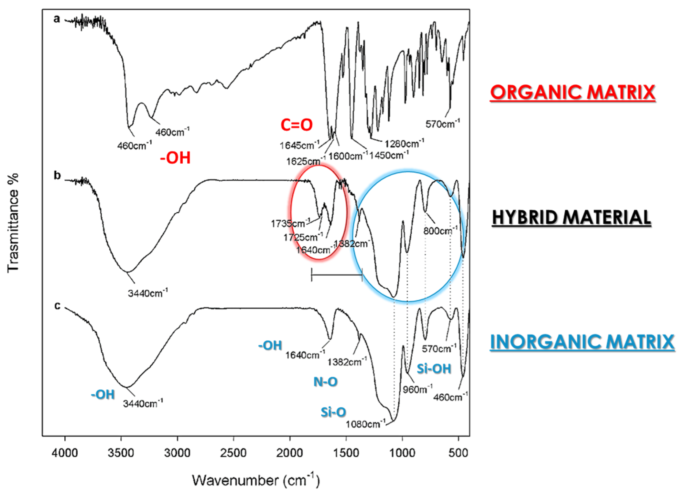 Coatings 14 00425 g002
