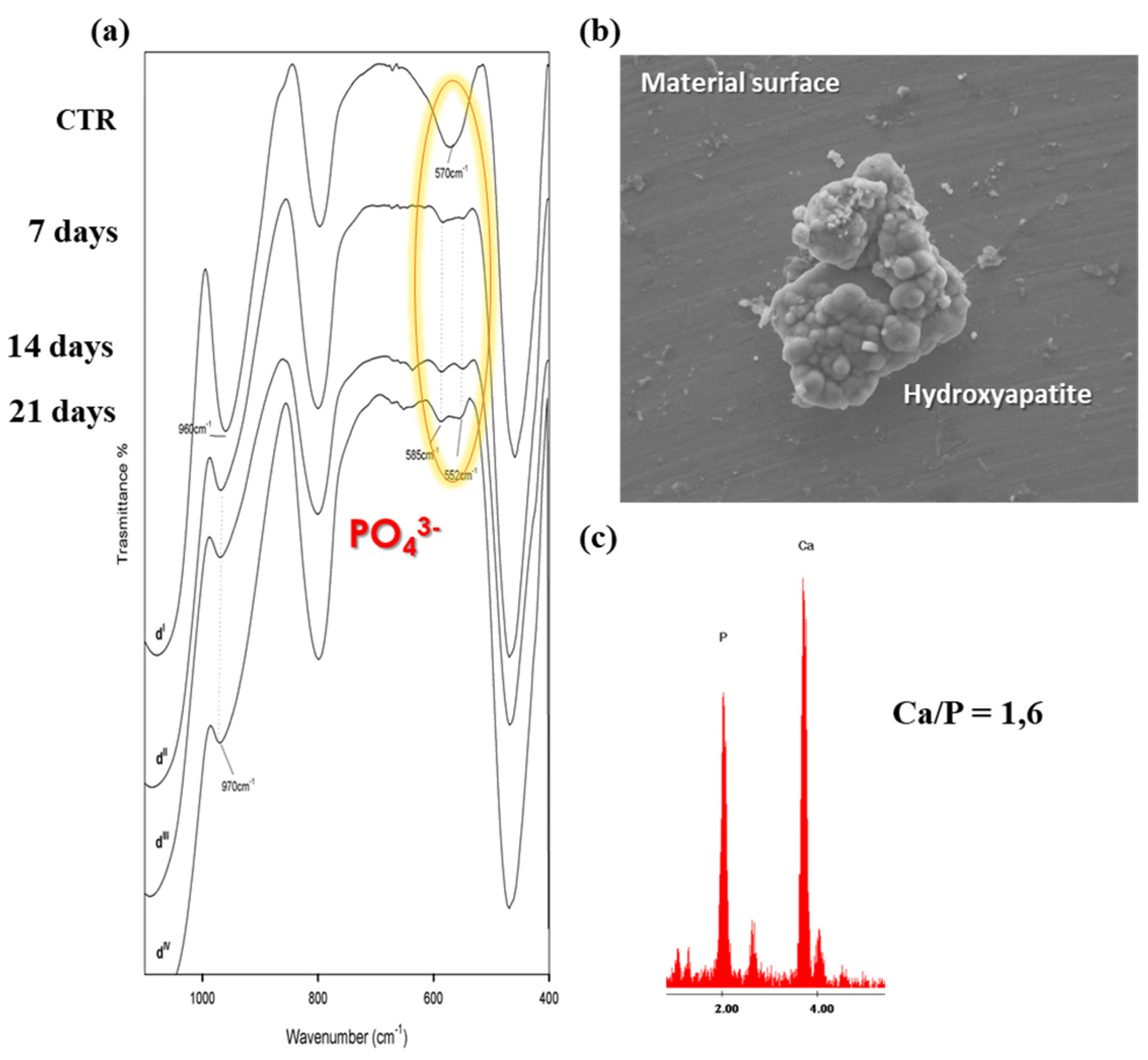 Coatings 14 00425 g007